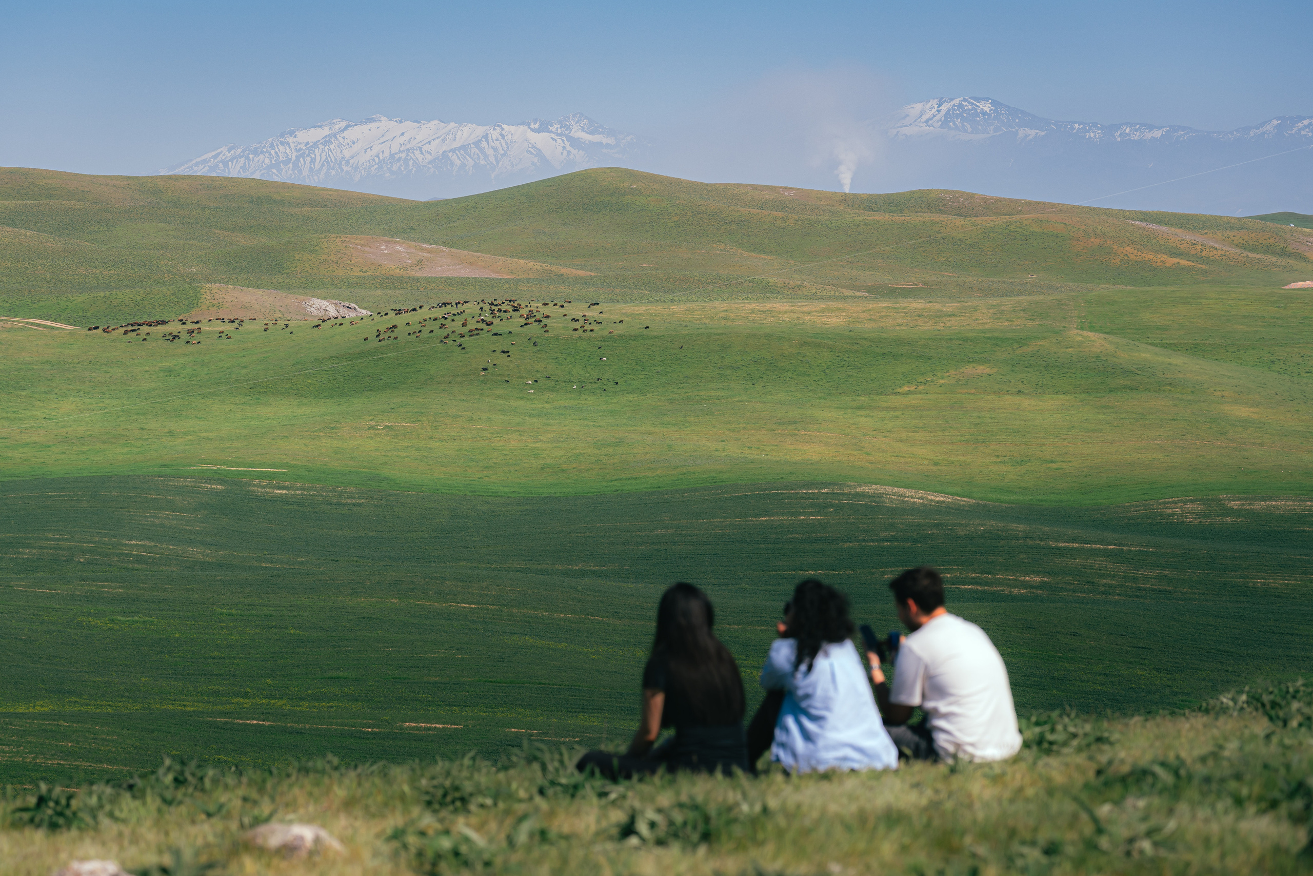 Парапланеристы. Георгий Намазов | Фотограф в Ташкенте