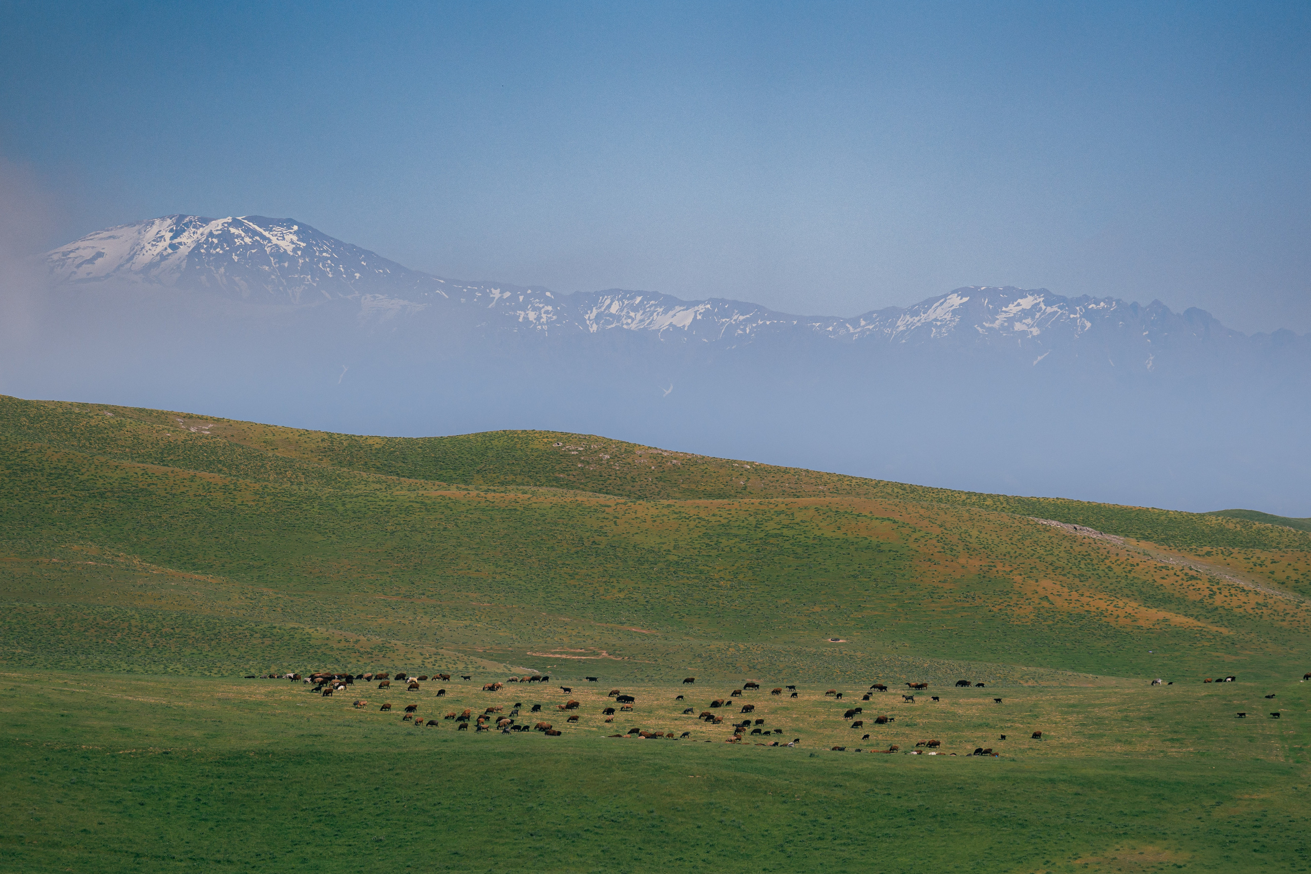 Парапланеристы. Георгий Намазов | Фотограф в Ташкенте