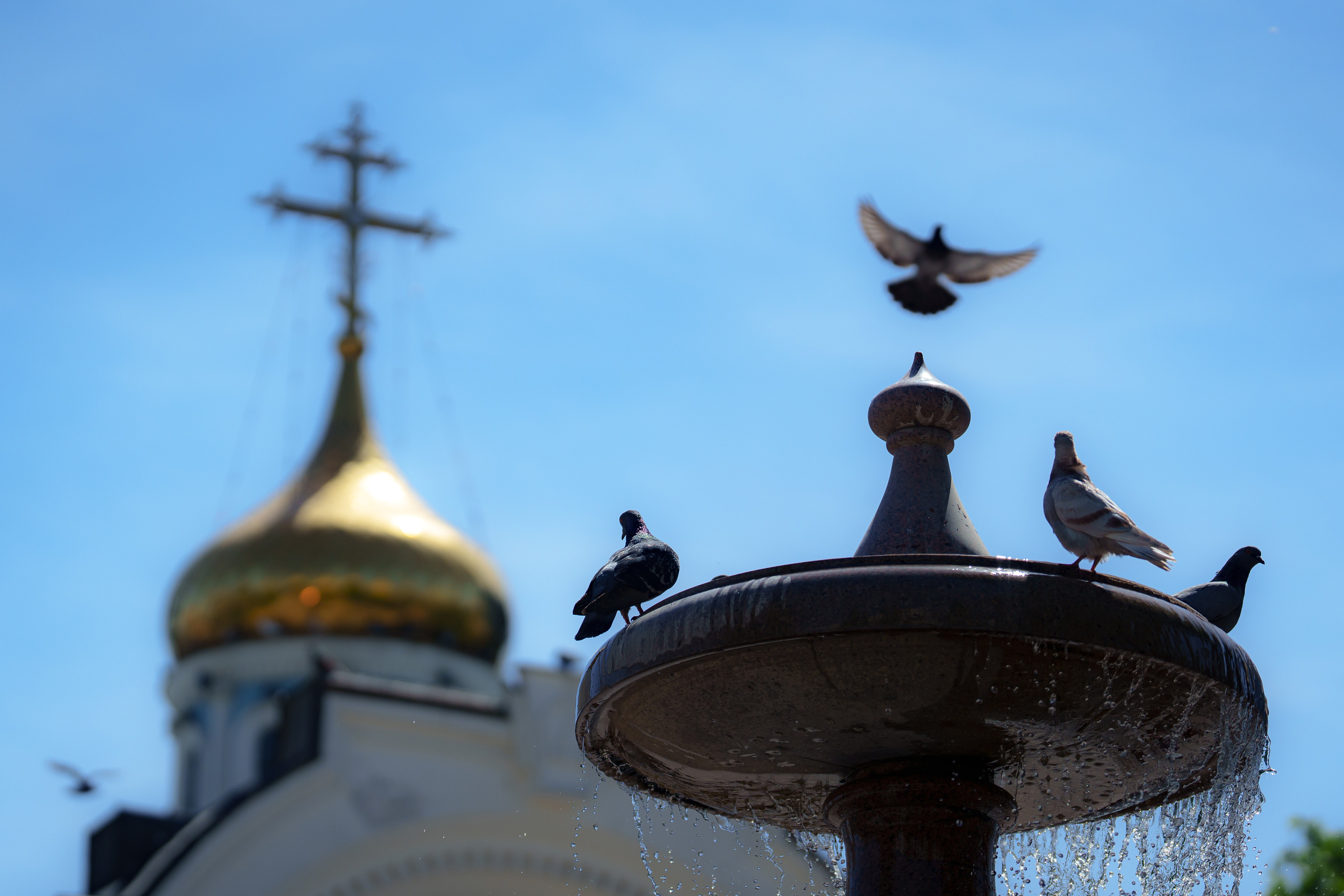 Как православные христиане отметили Пасху в Ташкенте. Георгий Намазов | Фотограф в Ташкенте