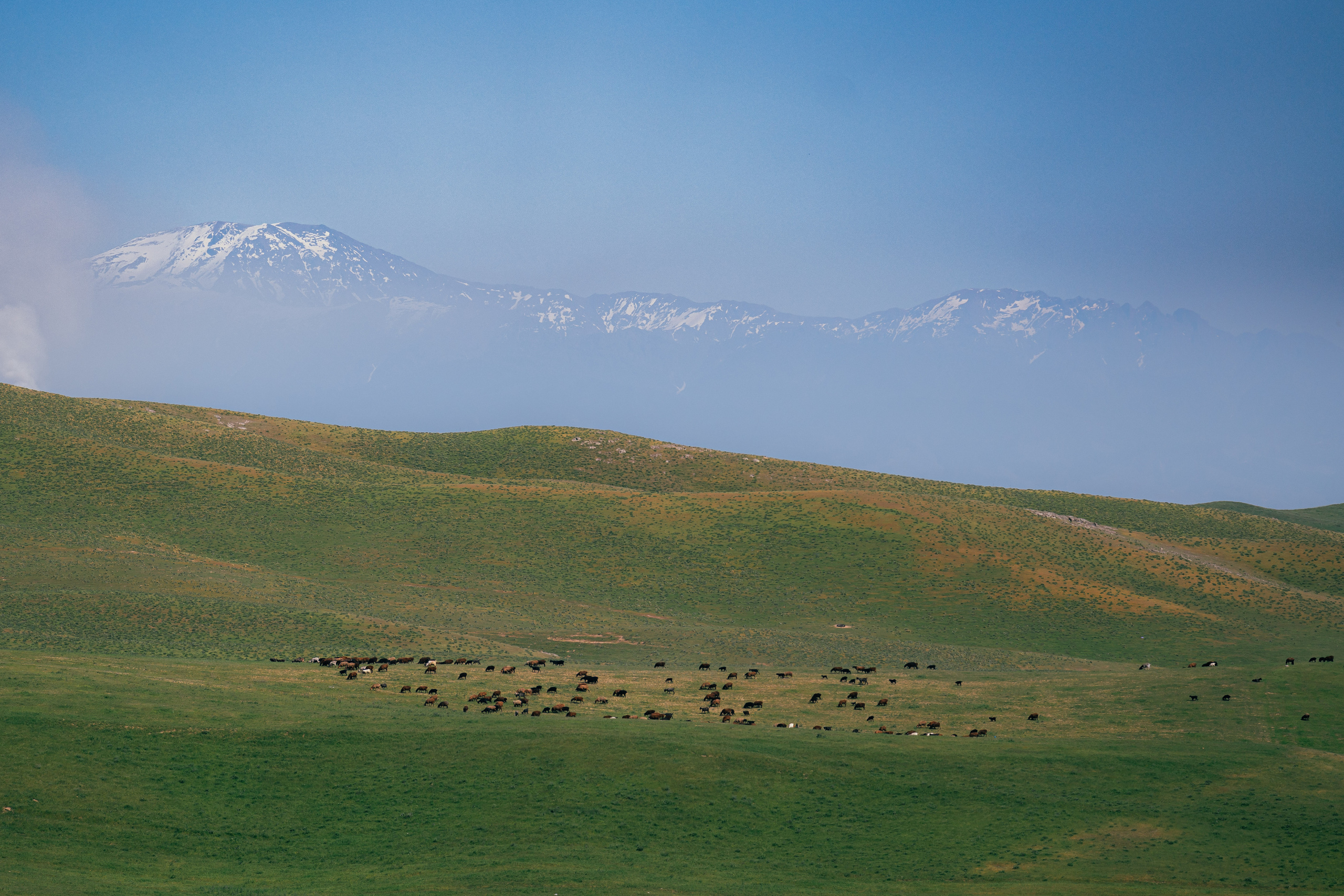 Парапланеристы. Георгий Намазов | Фотограф в Ташкенте