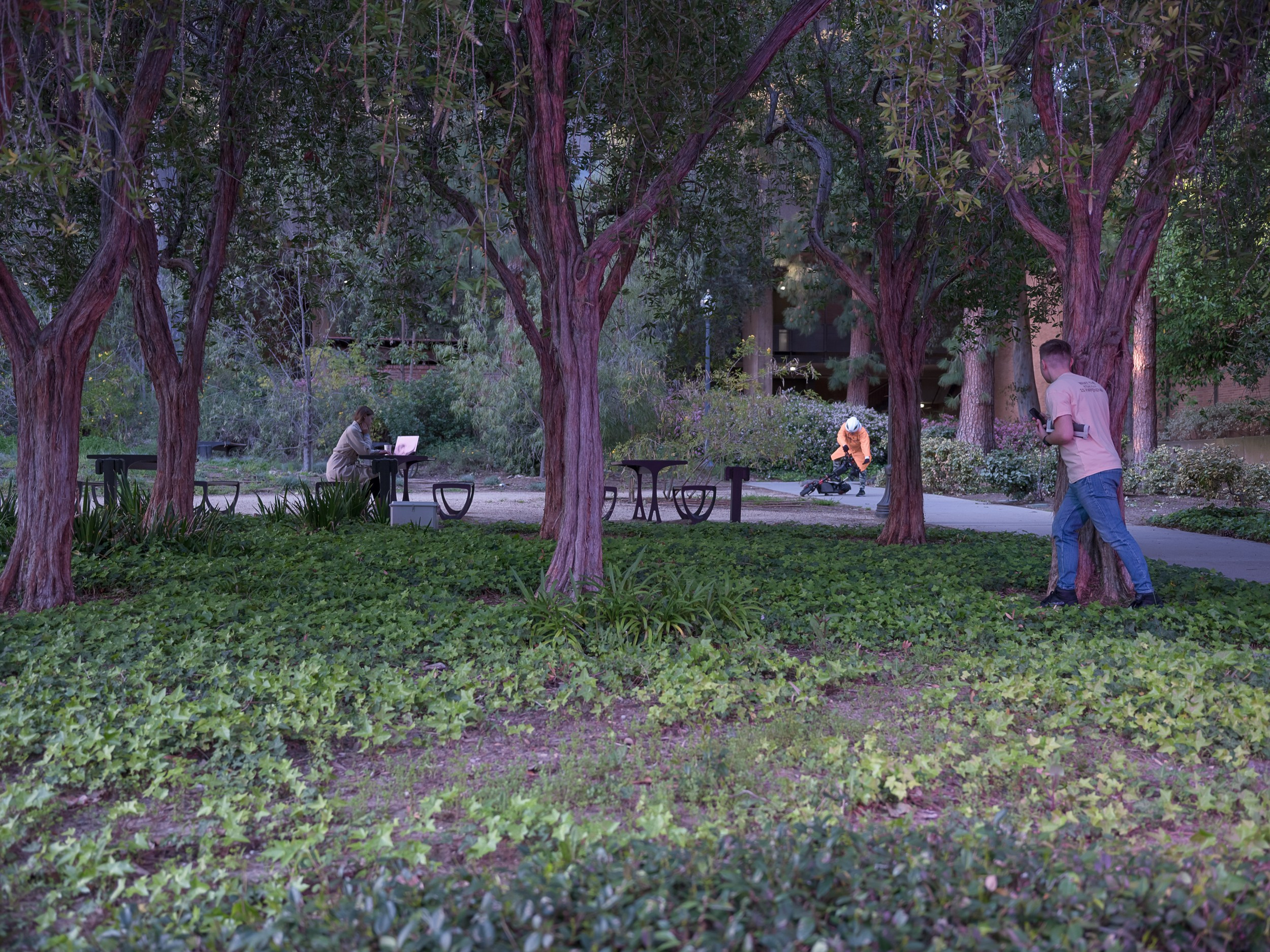 Occasional equilibrium. Marta Ladokhina