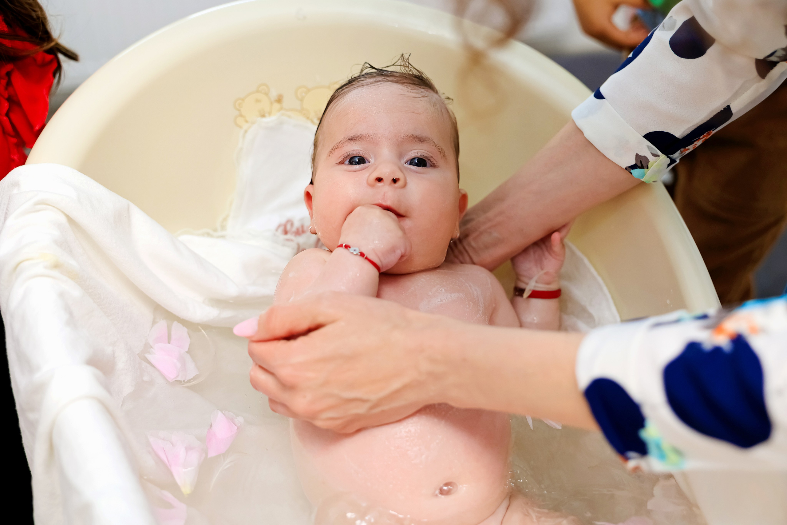 Iris Stefania. Moments By Gub