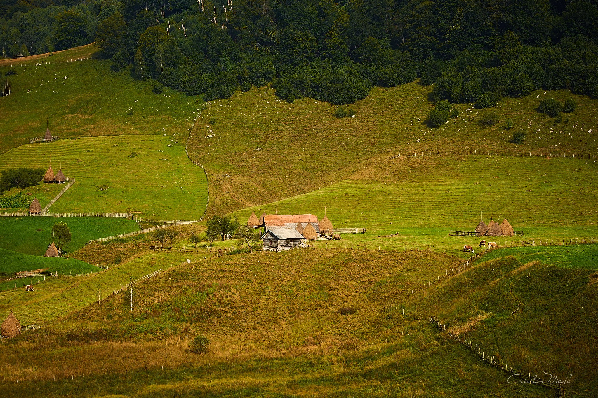 Fundătura Ponorului, jud. Humedoara. Pagina principală