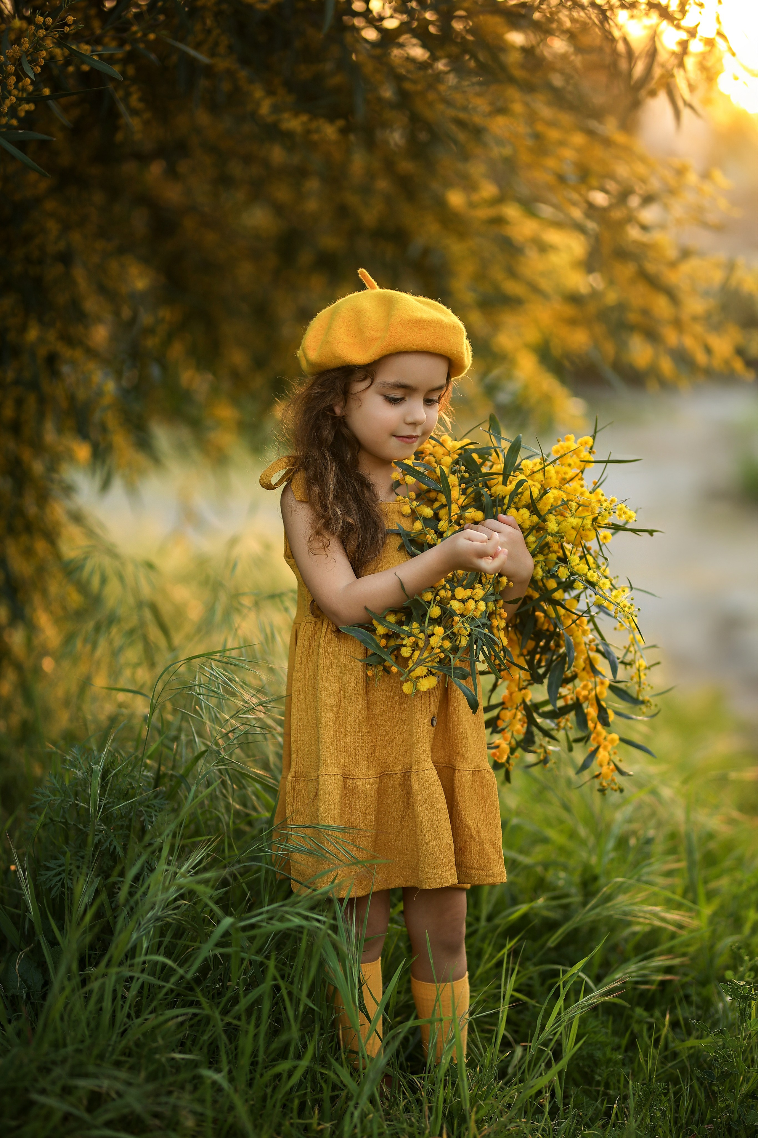 Photoshooting in mimosa. Photographer in Turkey, Antalya, Kemer, Belek, Side, Kas, Fethiye