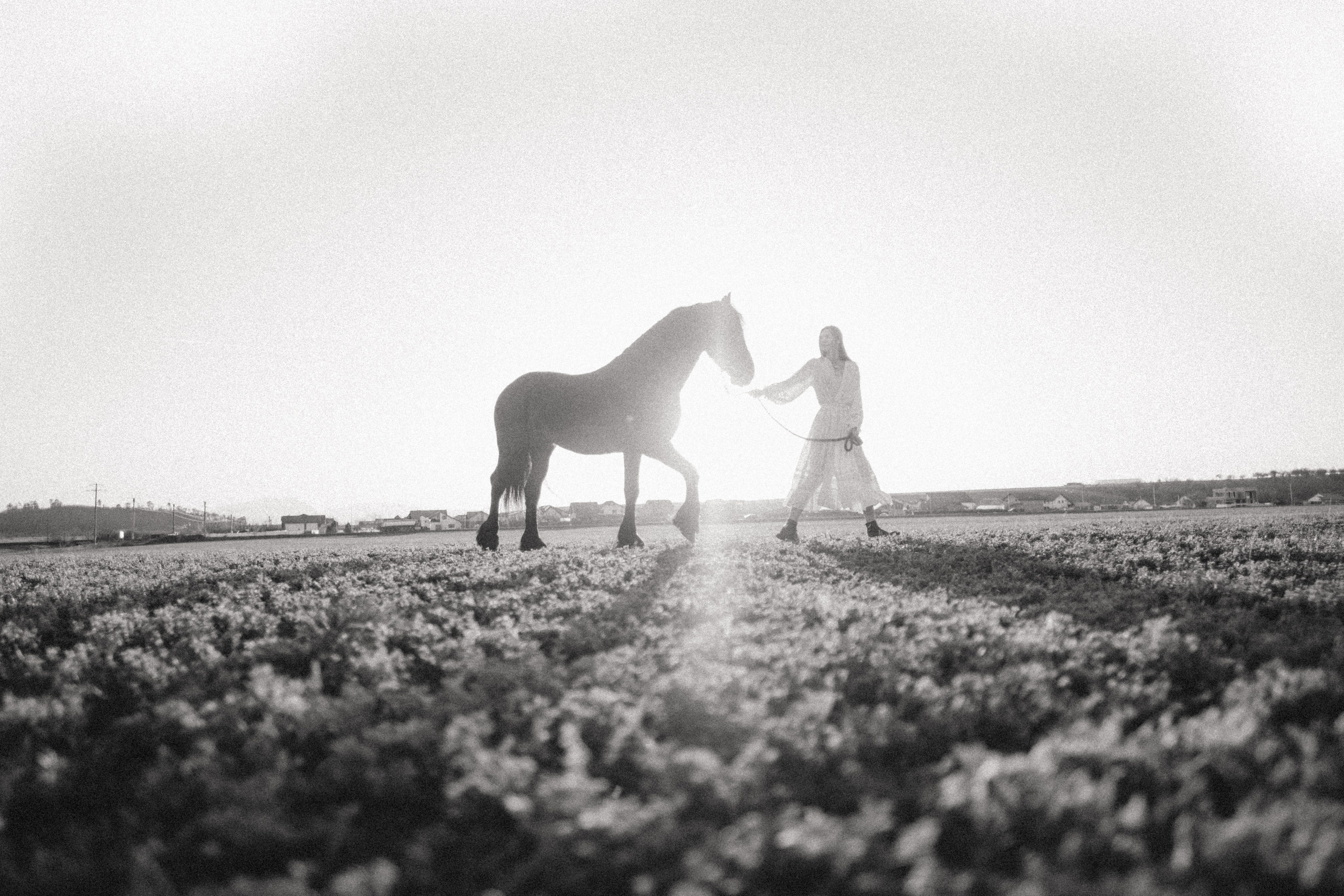 Marharyta&Veron. VOLKOVA OLGA