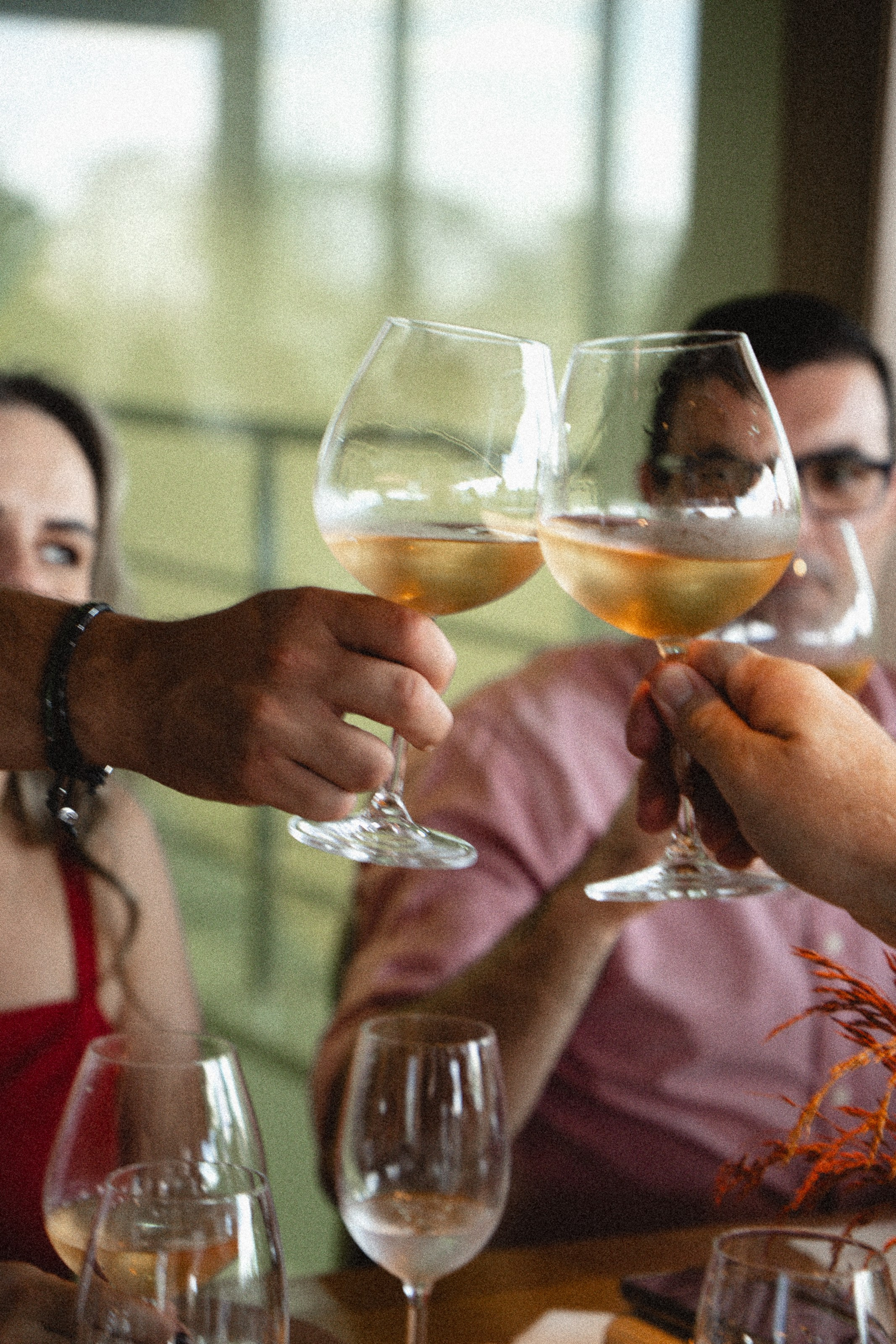 Casamento Marceli e Diego — Vinícola Terras Altas. Fotógrafo de casamento e Filmmaker de casamento
