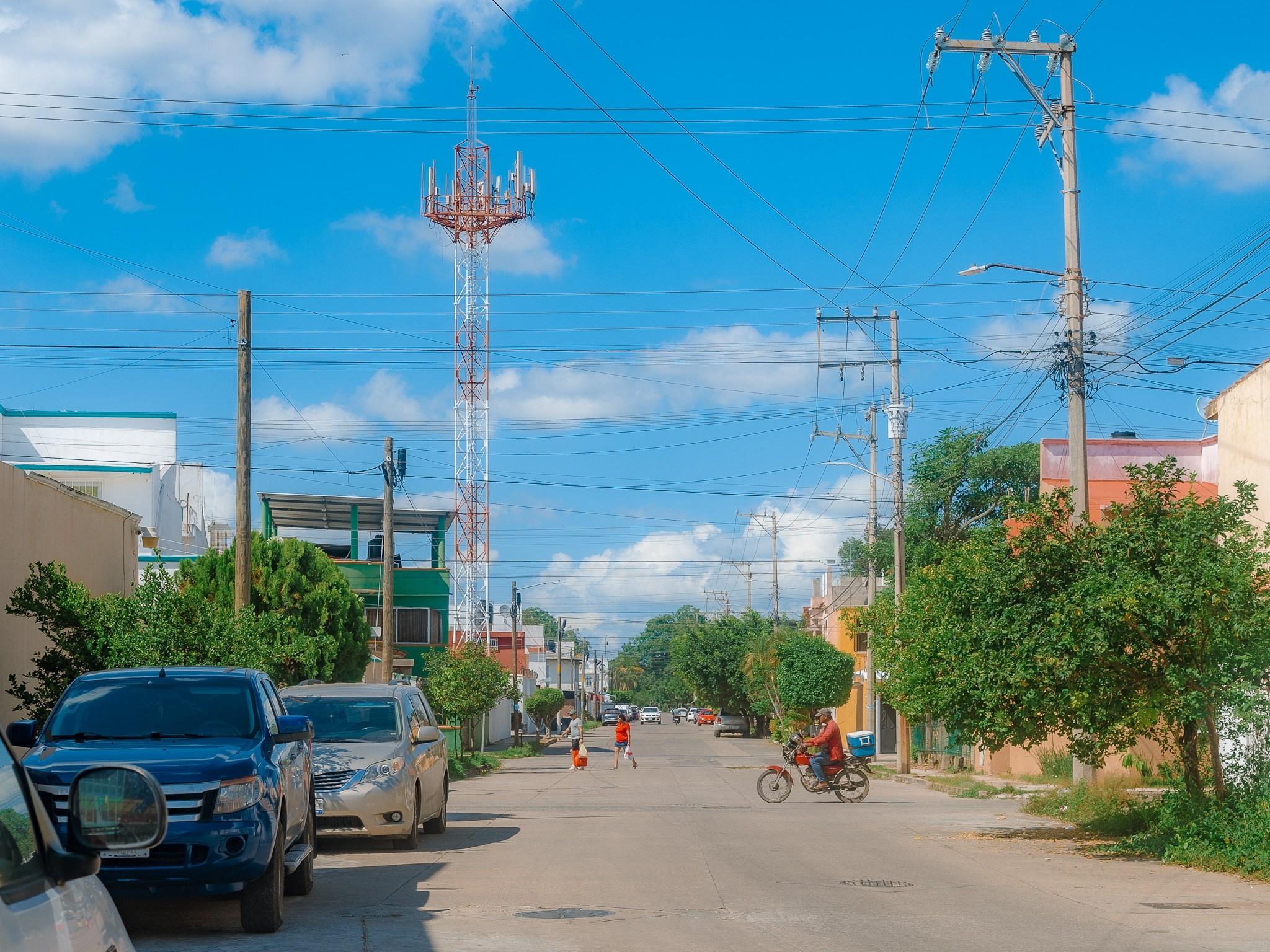 Estrellas de Buena Vista. 2025. Fotógrafo en Villahermosa | ERALPUCHE