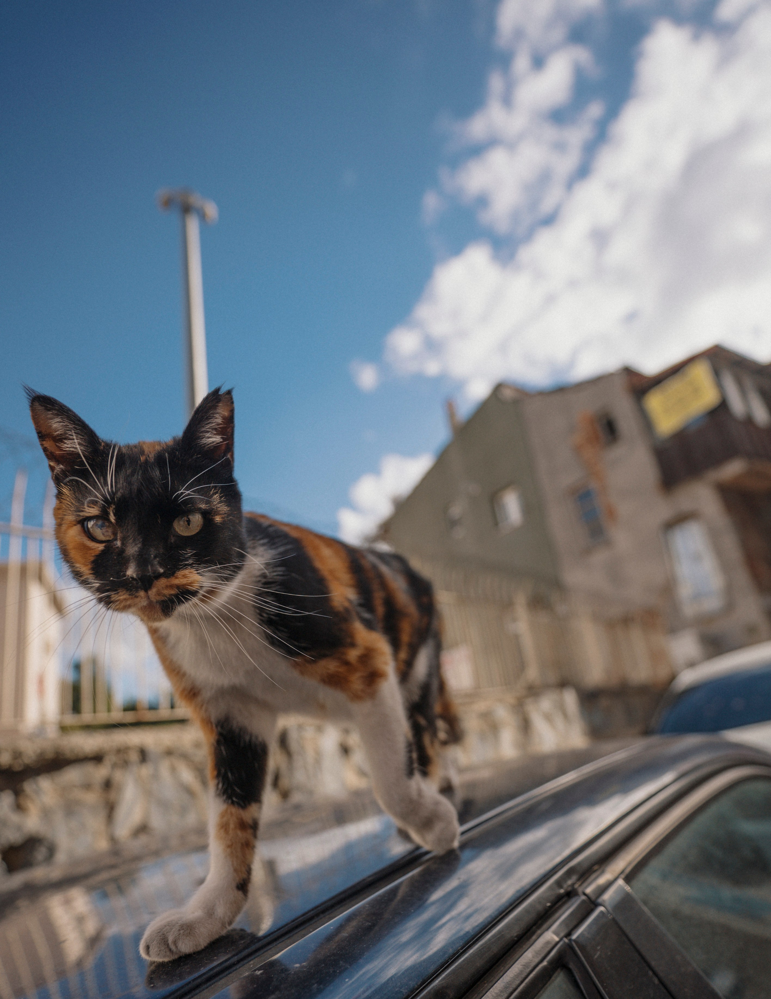 СТАМБУЛ. Стрит-фотография, полная абсурда, идиотизма и красоты