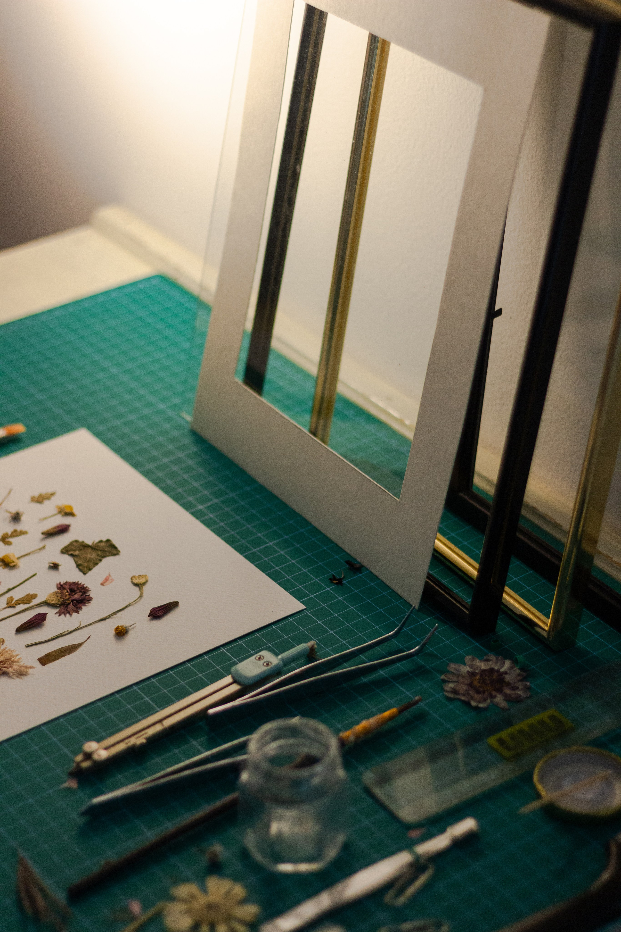 Portfolio. Herbarij studio