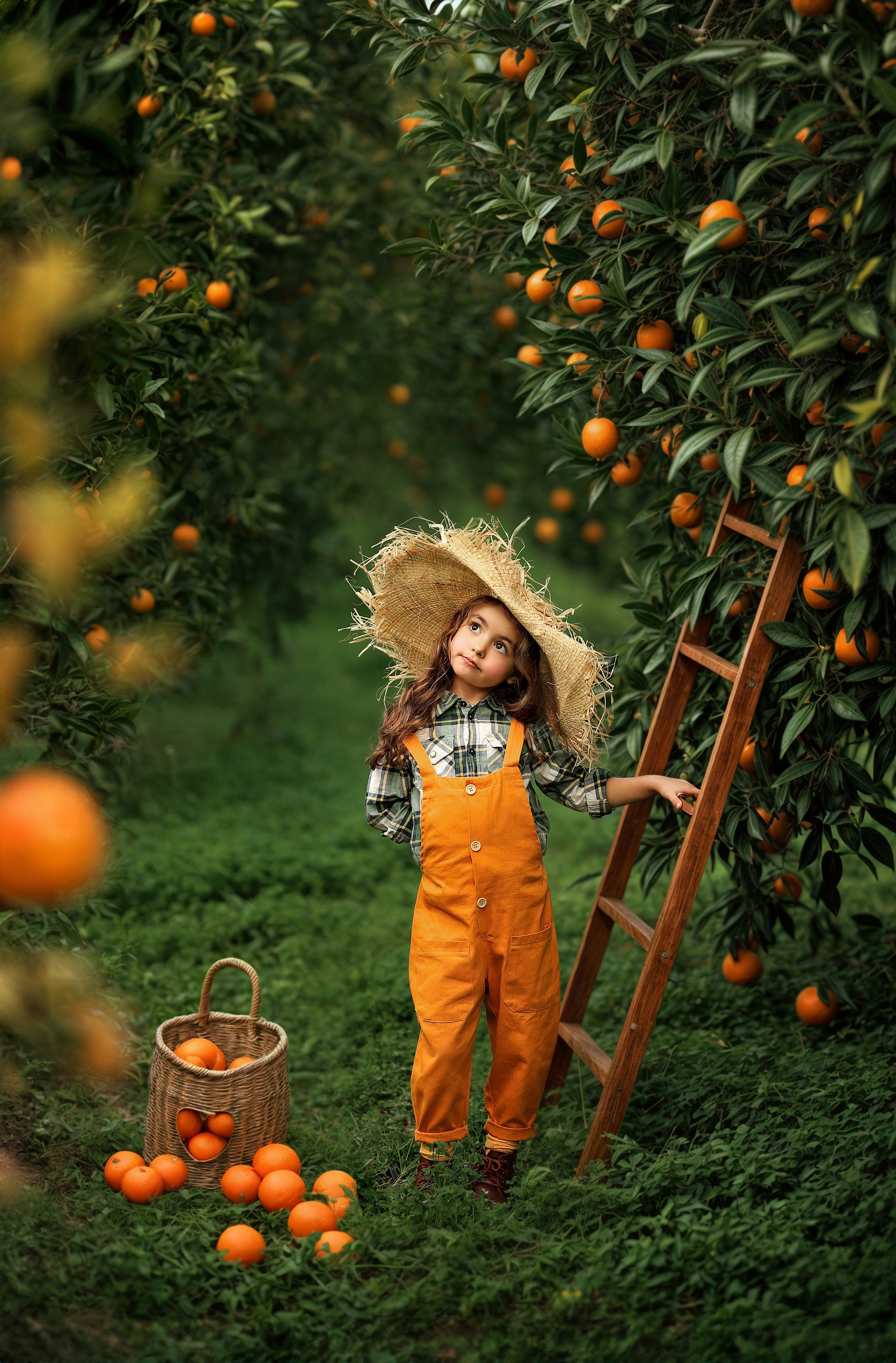 Photoshooting in orange garden. Photographer in Turkey, Antalya, Kemer, Belek, Side, Kas, Fethiye