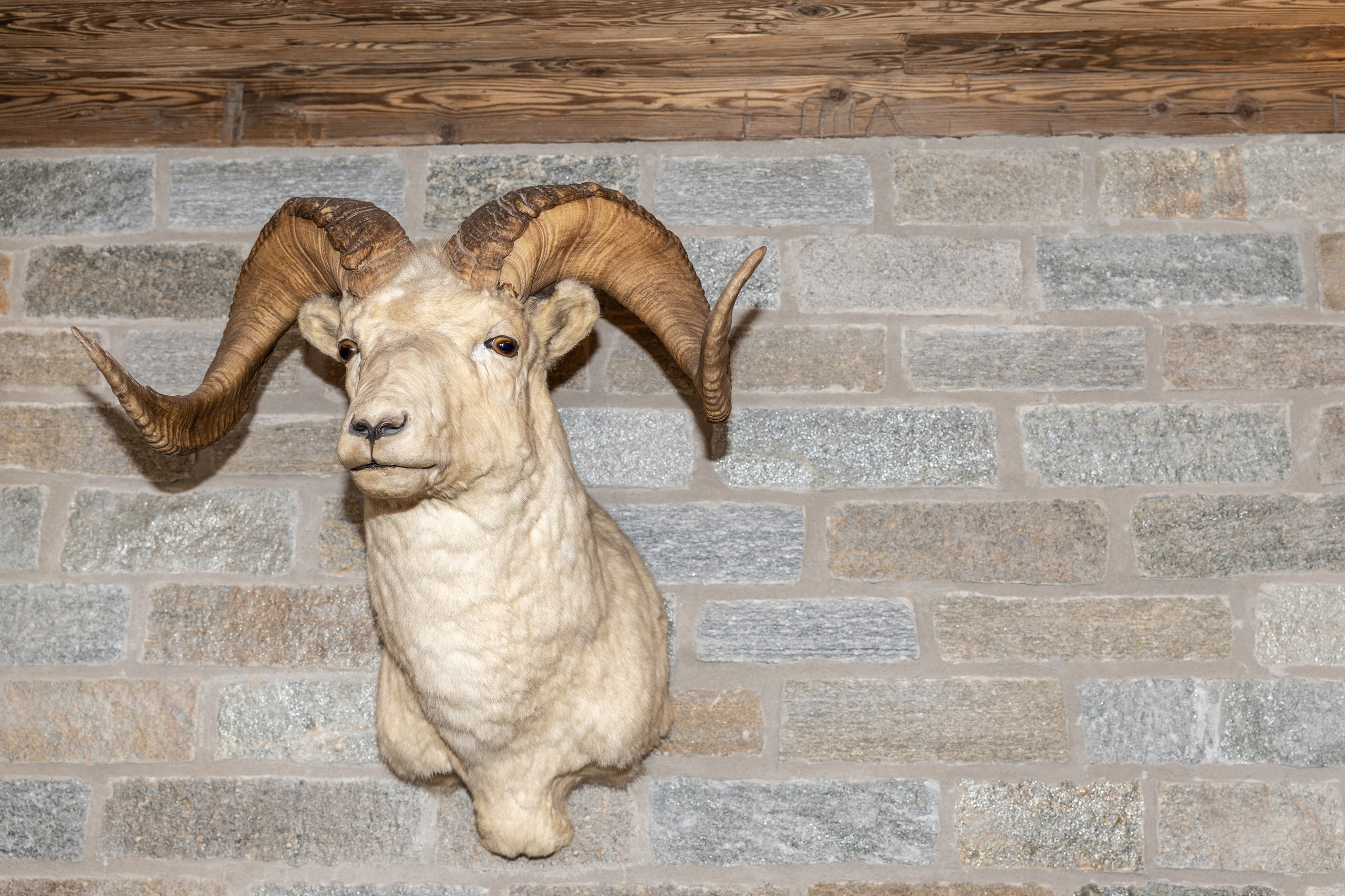 Valeriehaus, Sportgastein. Guzel Kolobova| Fotografin| Salzburg