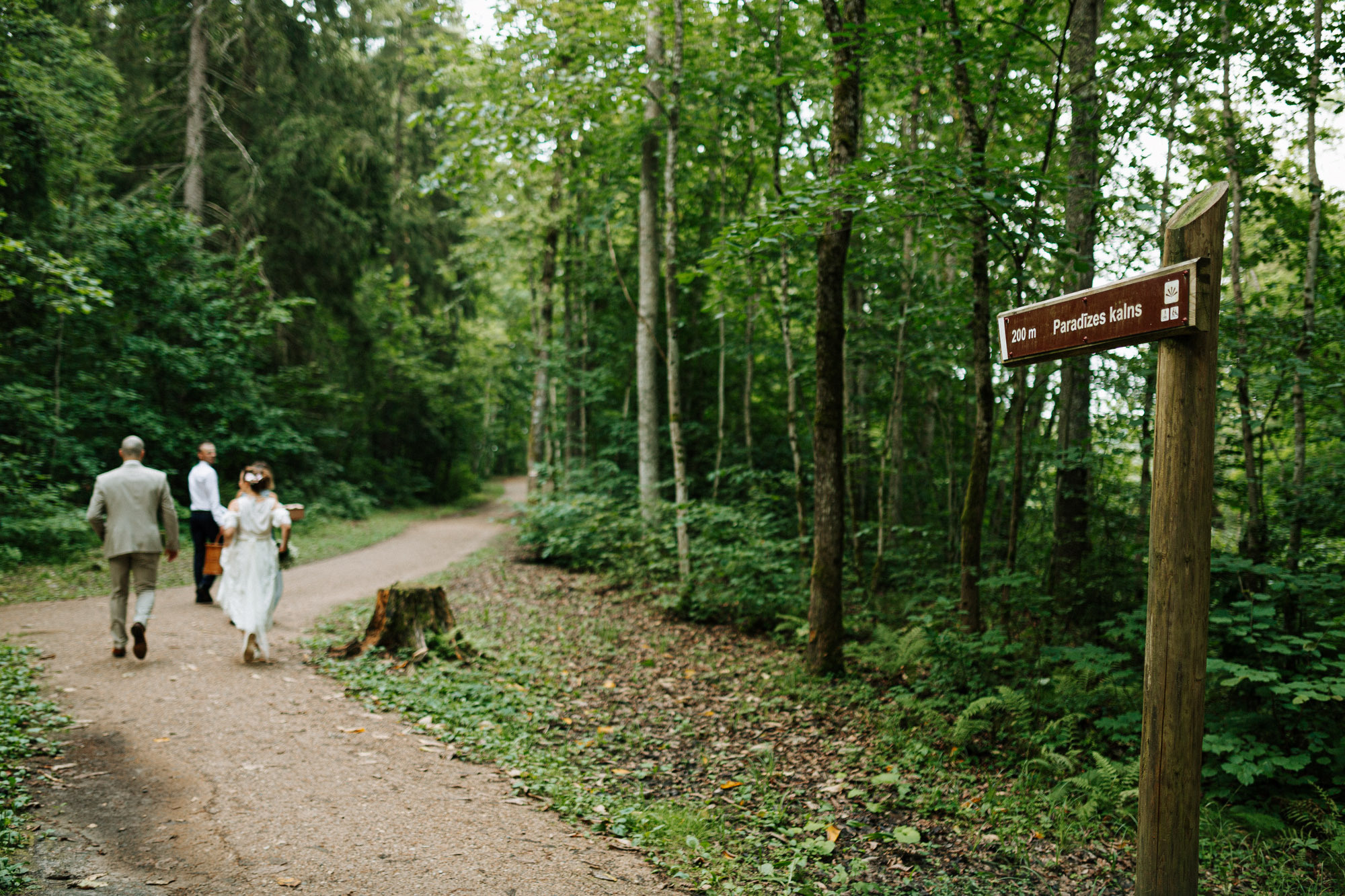 Kāzu svinības Siguldas kalnā, pie dabas viesu namā Kamēlijas