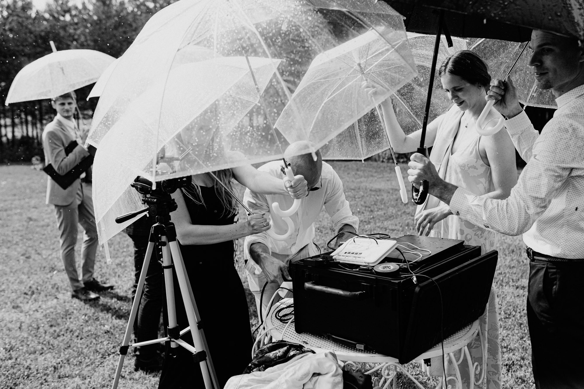 Kāzu svinības Siguldas kalnā, pie dabas viesu namā Kamēlijas