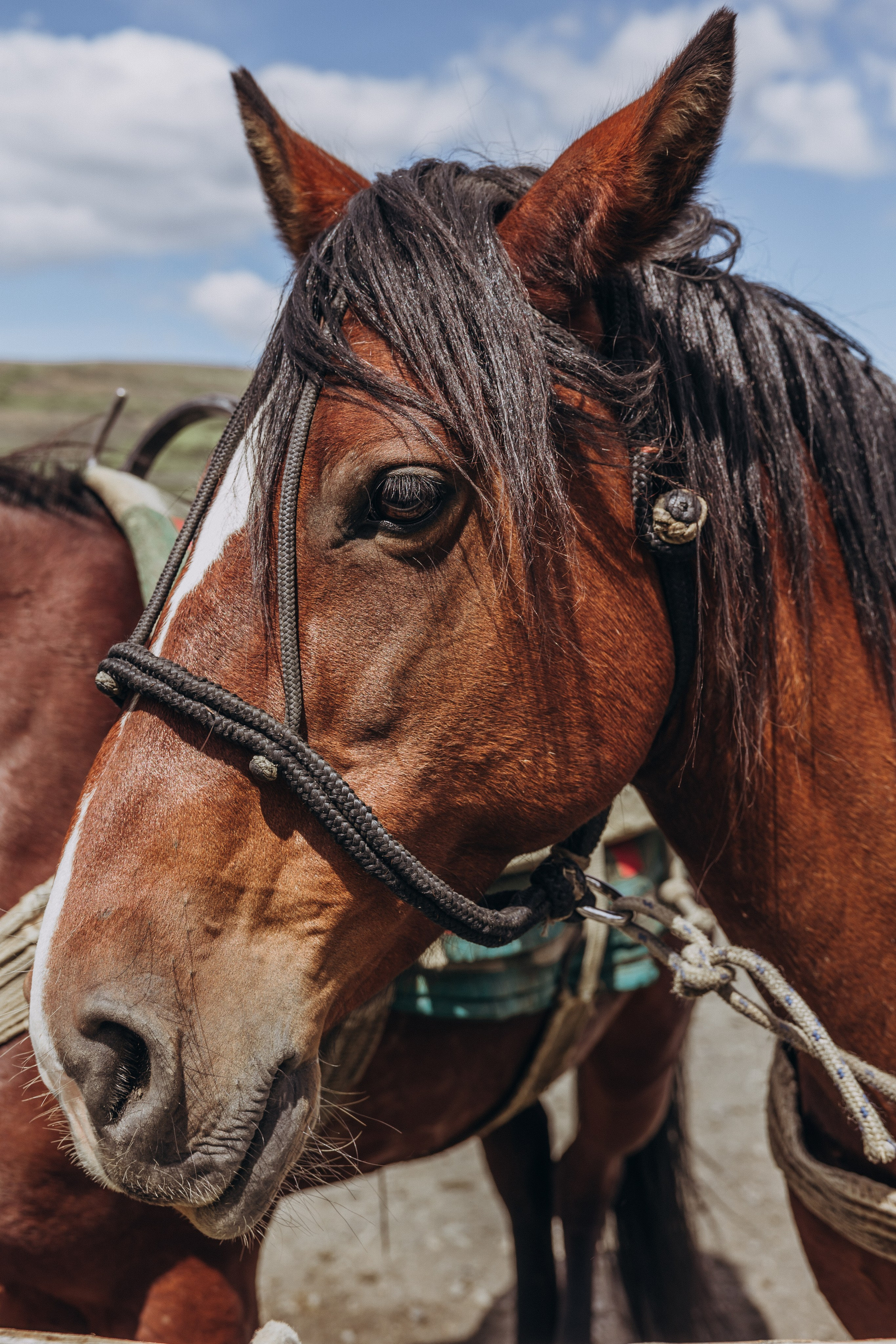 T+C. Elopement in Patagonia. Fotógrafa familiar Santiago y Chile Anna Almazova