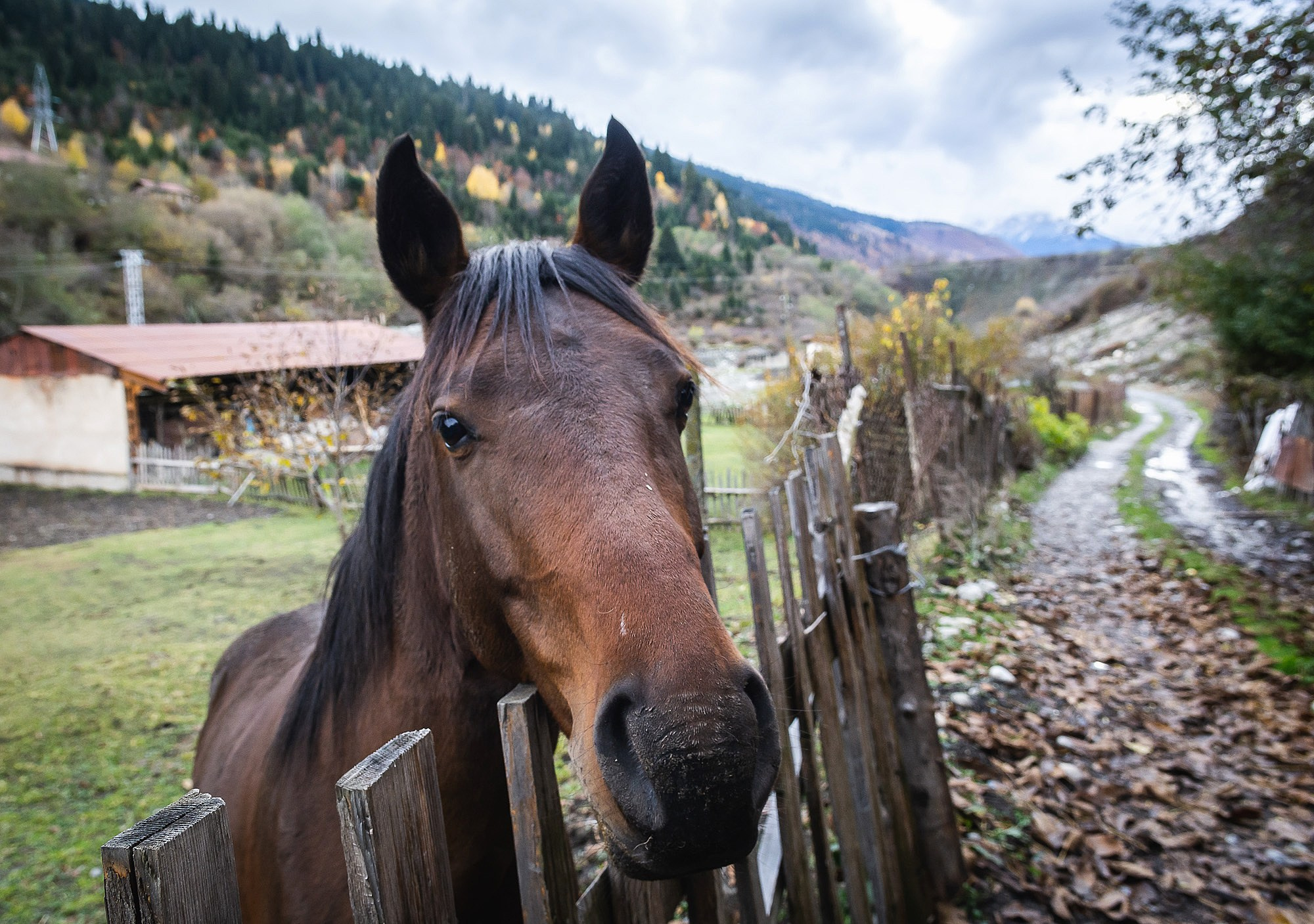 Работы учеников. Фотограф и преподаватель фотографии в Белграде