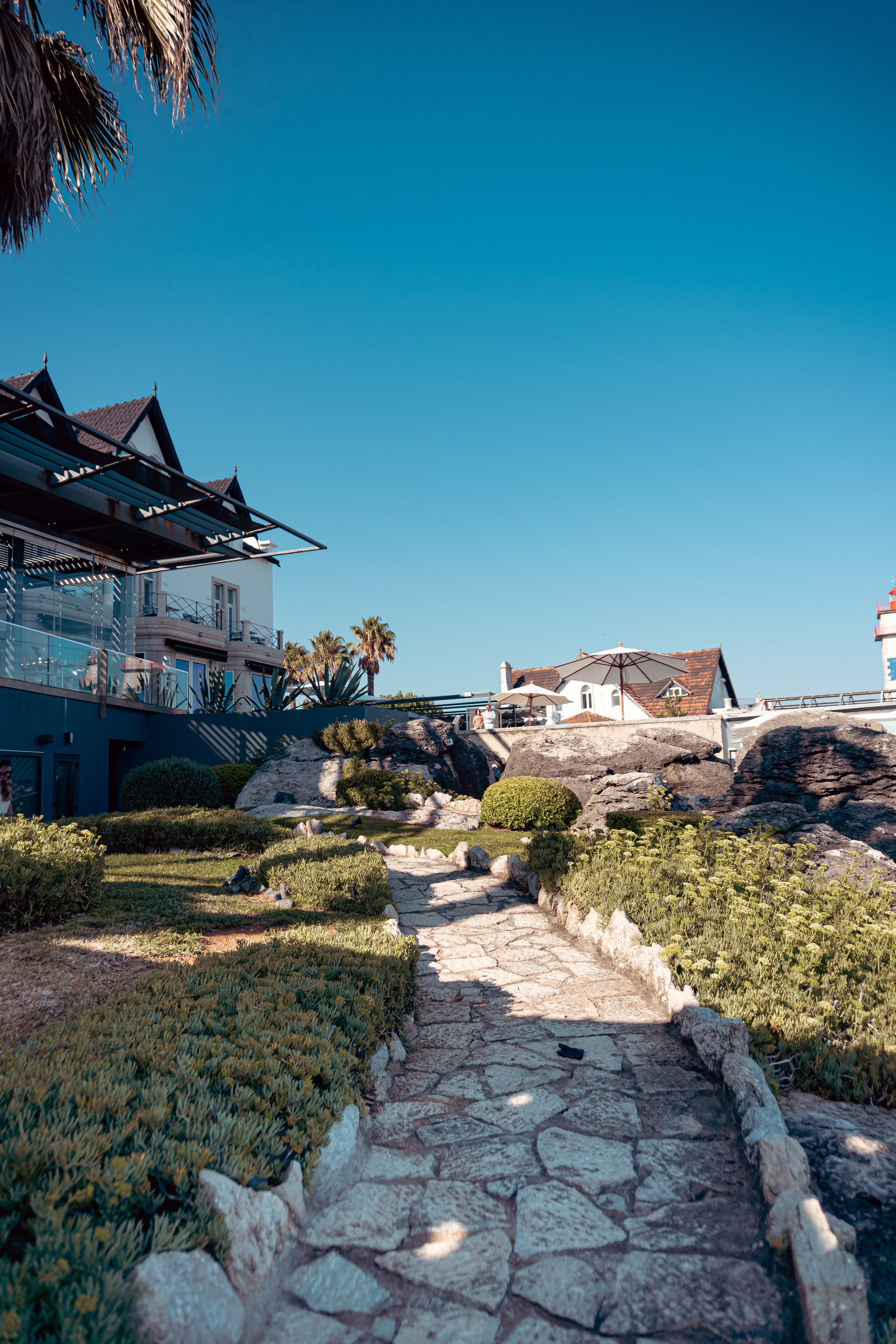 Sax on party. We are illustra. Where creativity meets strategy