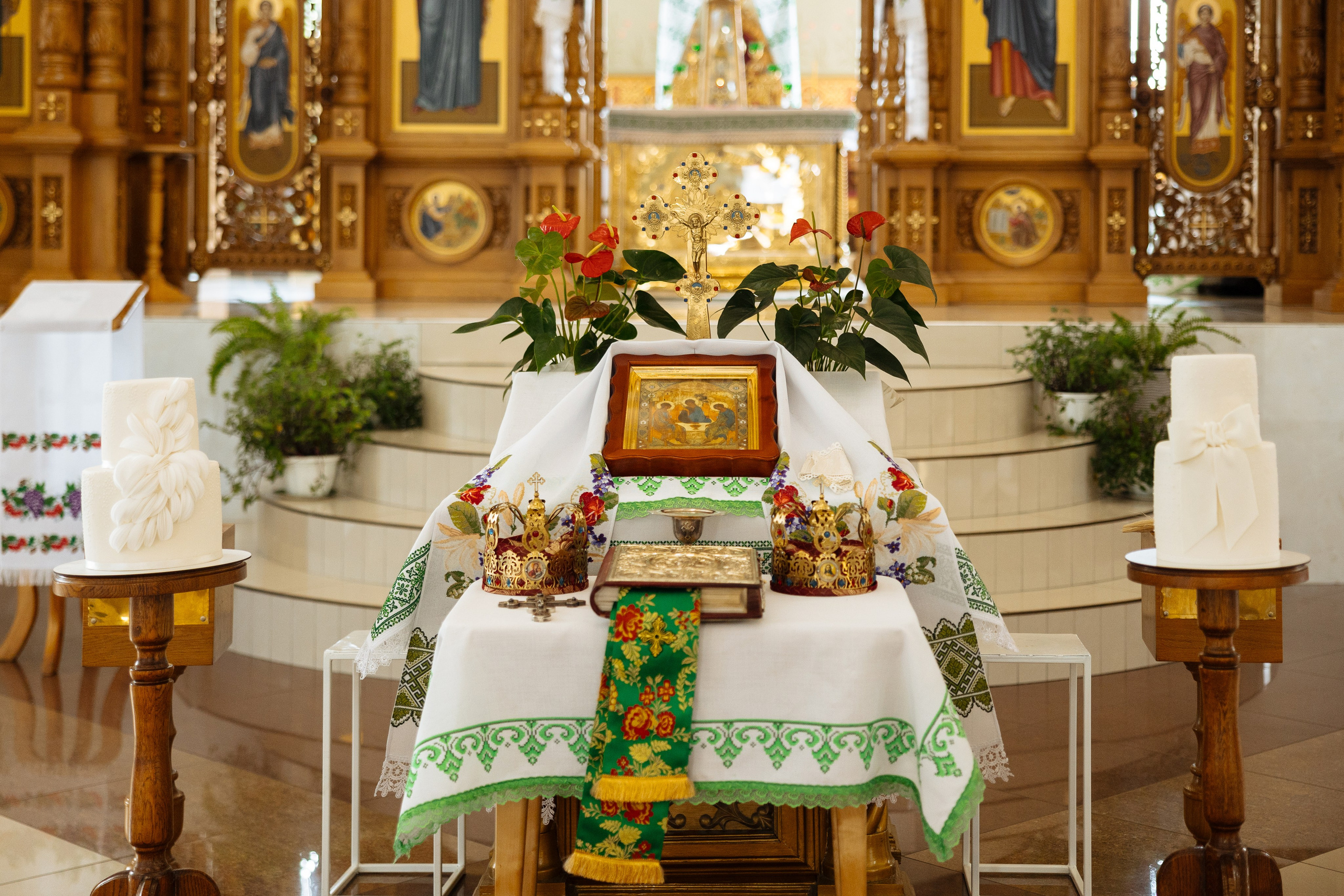 Diana Vlad. Ірина Терещук