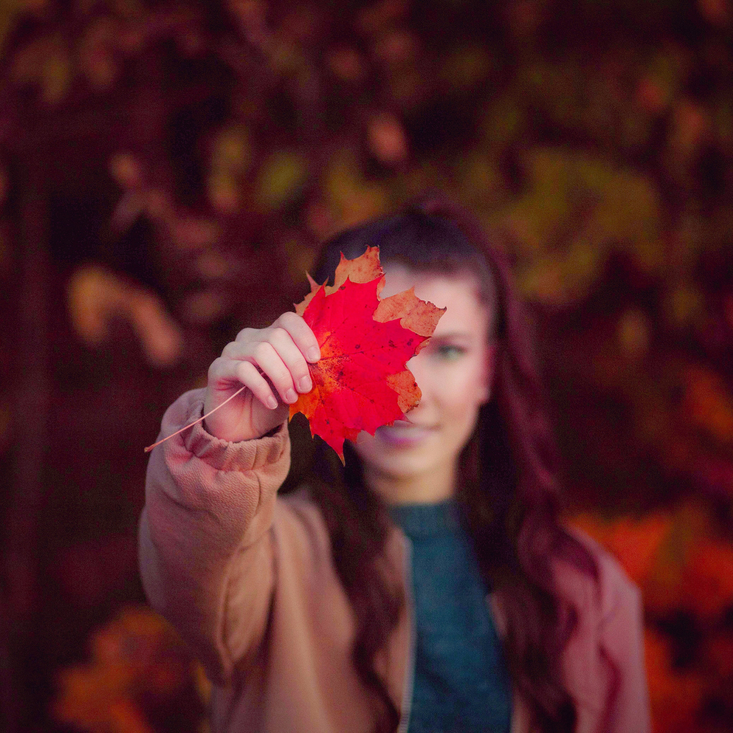 Portrait. Familien, Schwangerschaft, Kinder Fotograf Bodenseekreis