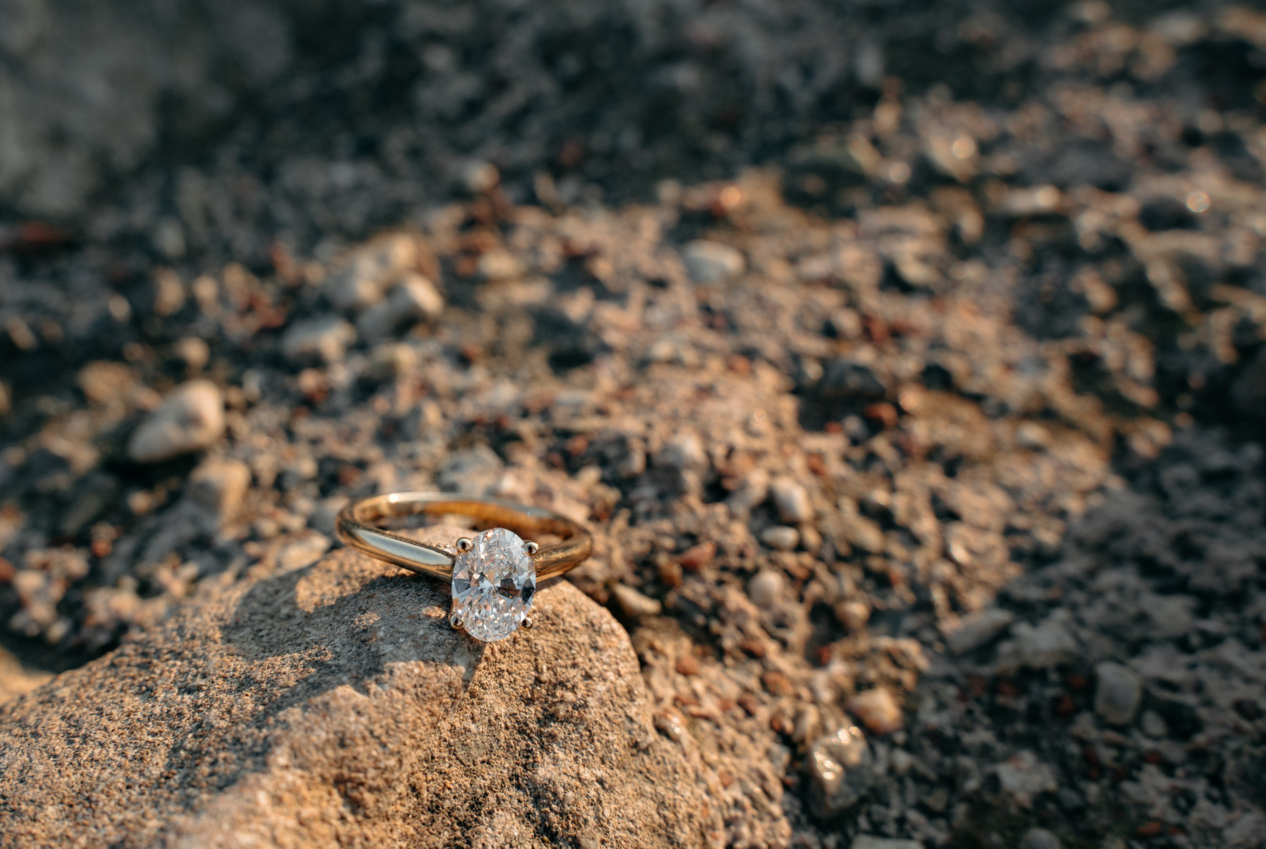 M & S (Garda Lake, Italy). Marriage Proposal Photographer in Verona, Lake Garda and Dolomites| Diana Fedrigo