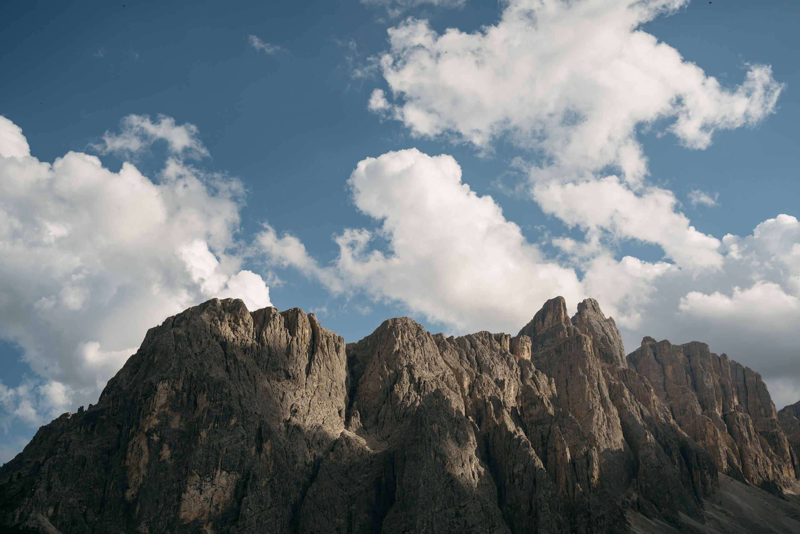 C & M (Colfosco, Dolomites, Italy). Marriage Proposal Photographer in Verona, Lake Garda and Dolomites| Diana Fedrigo