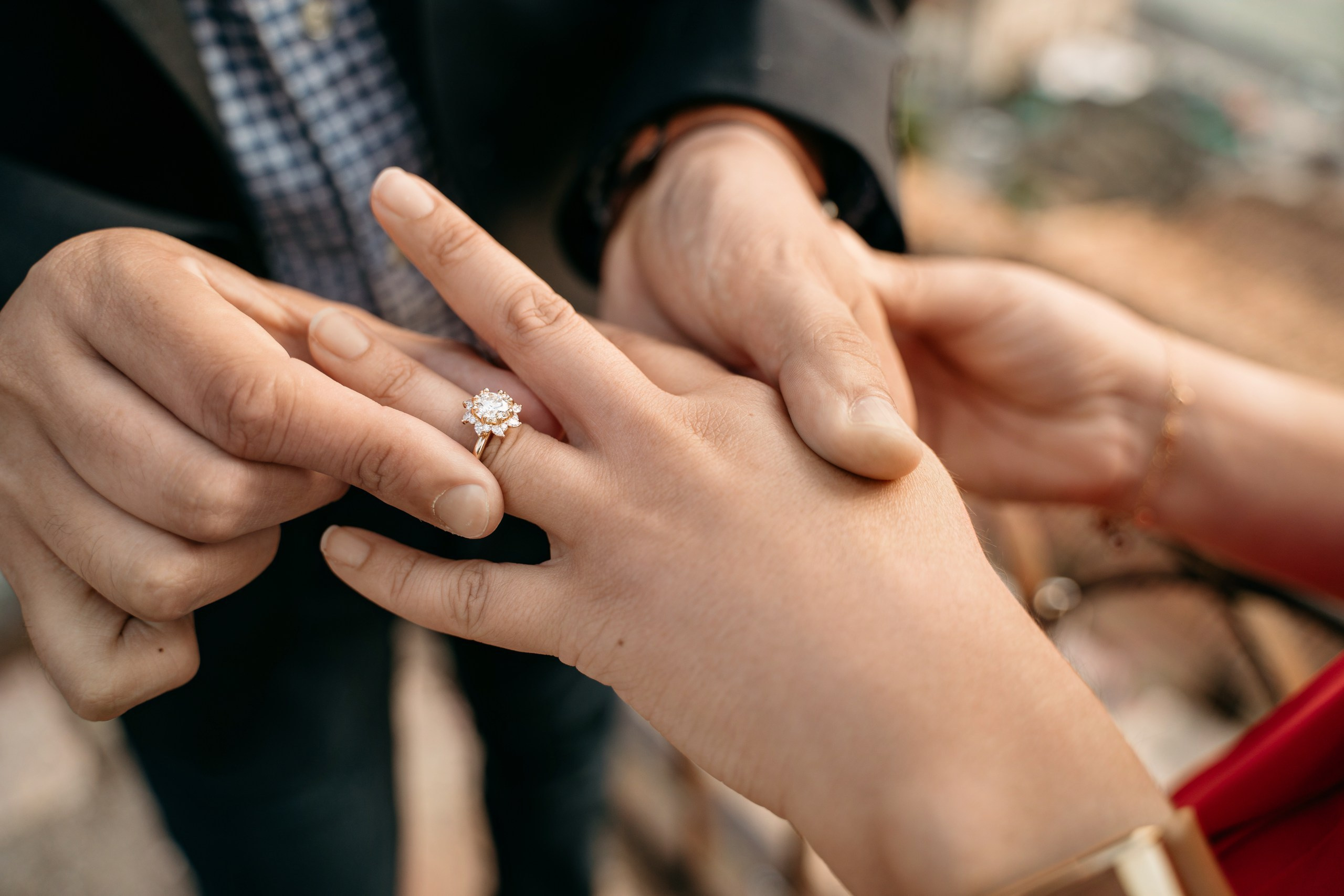 D & A (Verona, Italy). Marriage Proposal Photographer in Verona, Lake Garda and Dolomites| Diana Fedrigo