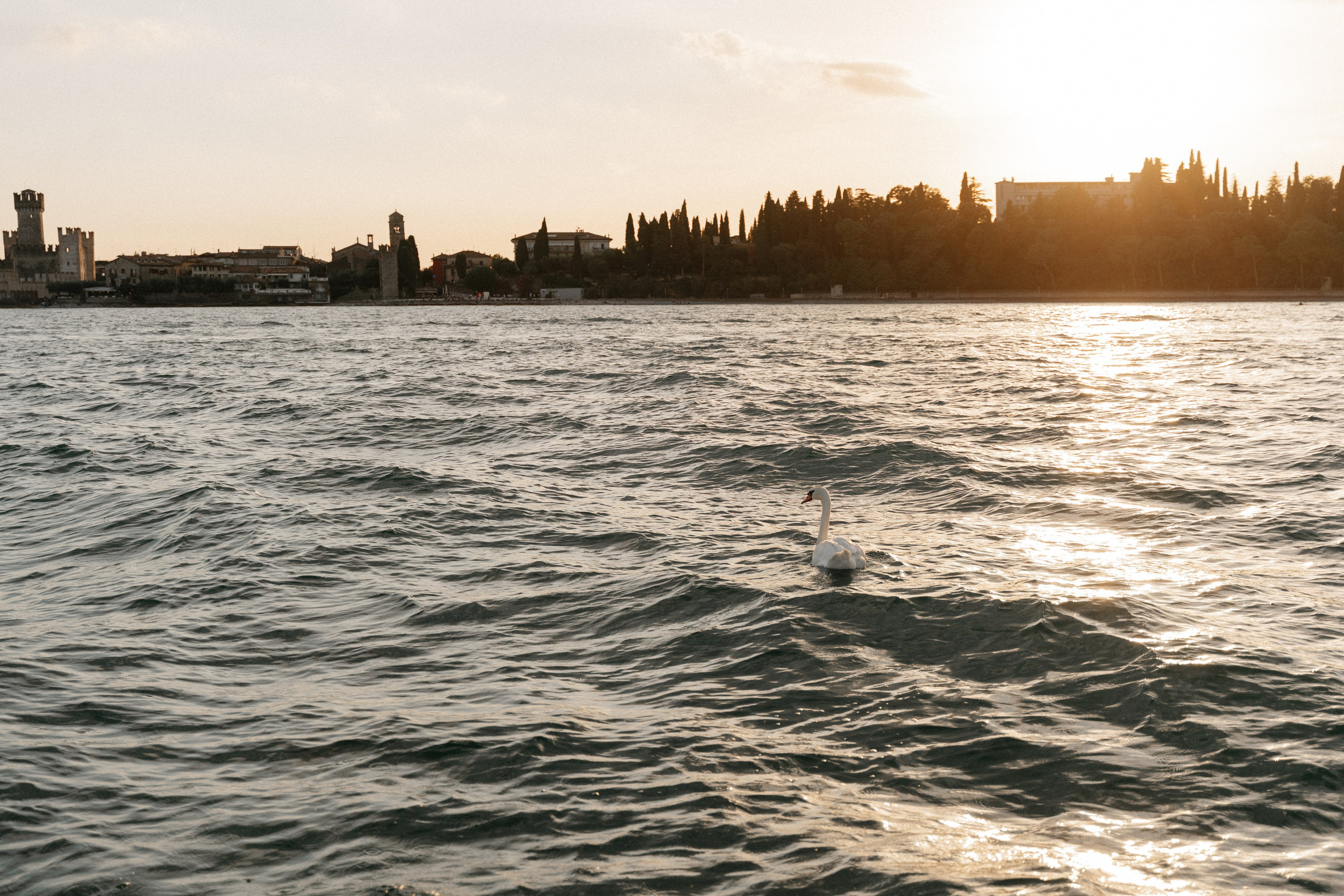 J & A (Sirmione, Lake Garda, Italy). Marriage Proposal Photographer in Verona, Lake Garda and Dolomites| Diana Fedrigo