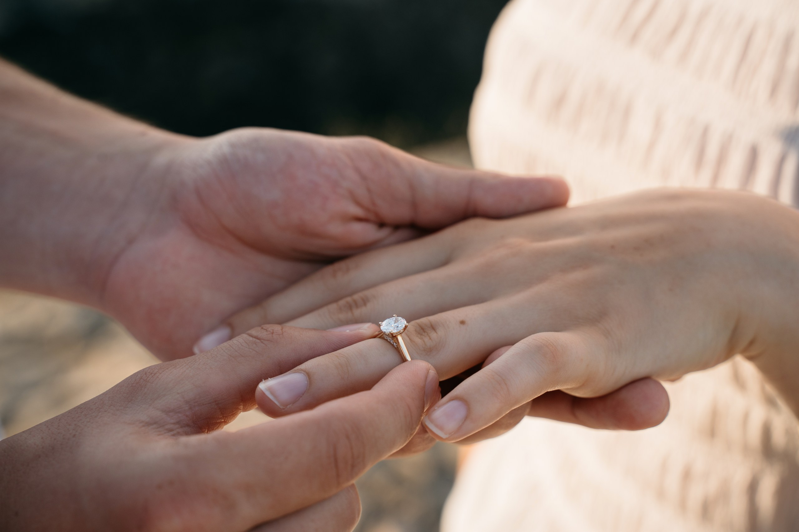 M & S (Garda Lake, Italy). Marriage Proposal Photographer in Verona, Lake Garda and Dolomites| Diana Fedrigo