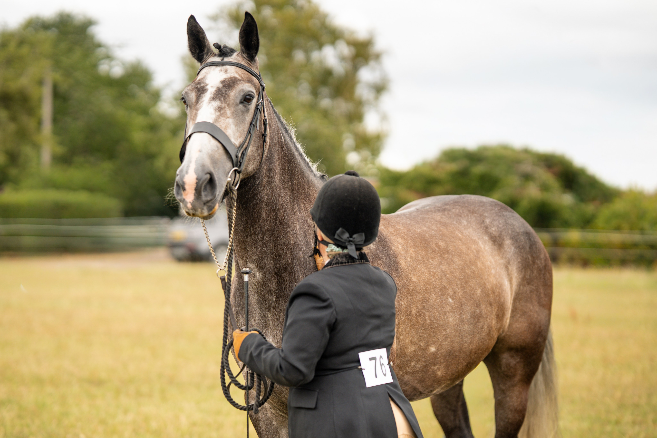 Showing. Leicestershire Equine Photography by El | Authentic Equine Portraits & Events