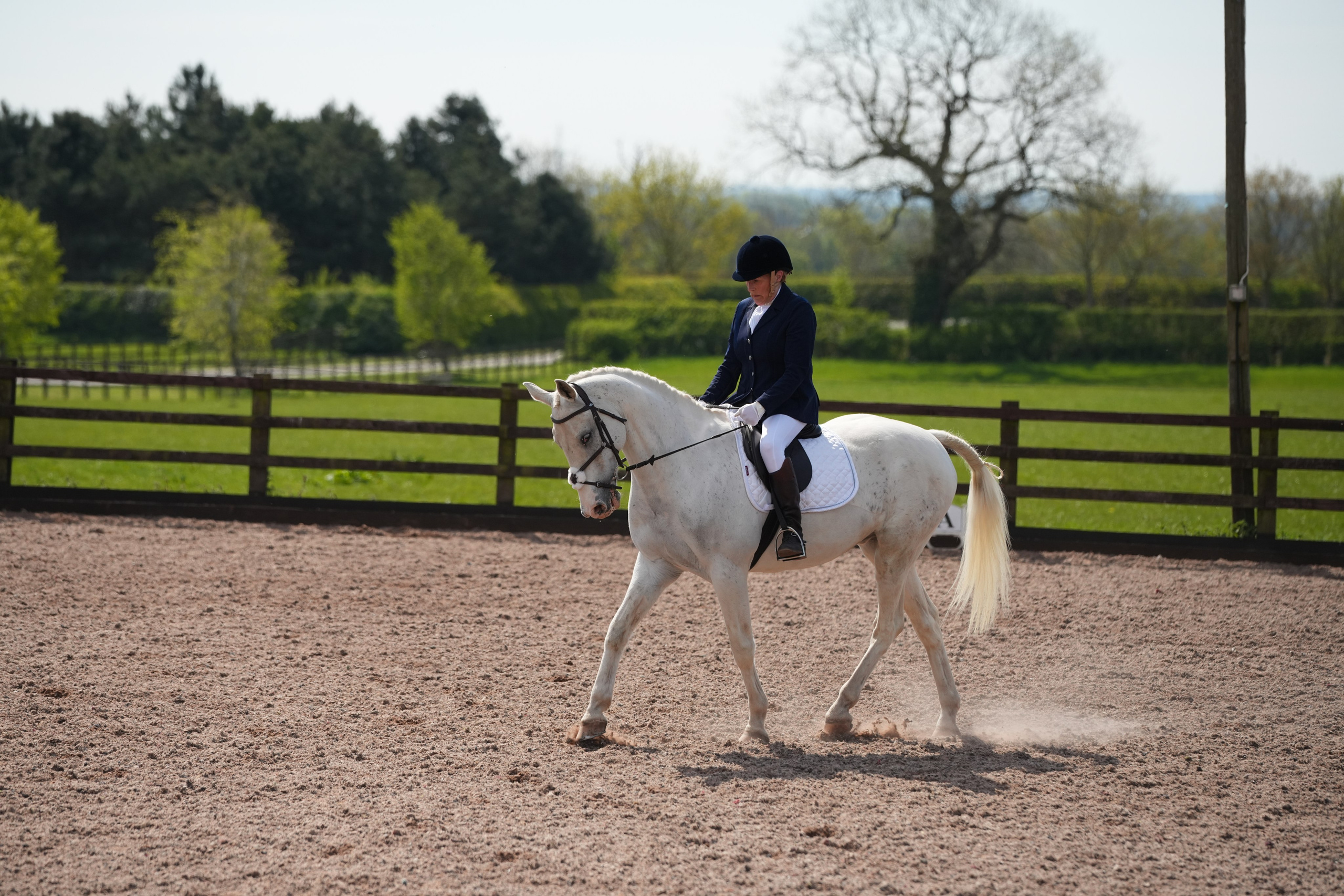 Dressage. Leicestershire Equine Photography by El | Authentic Equine Portraits & Events
