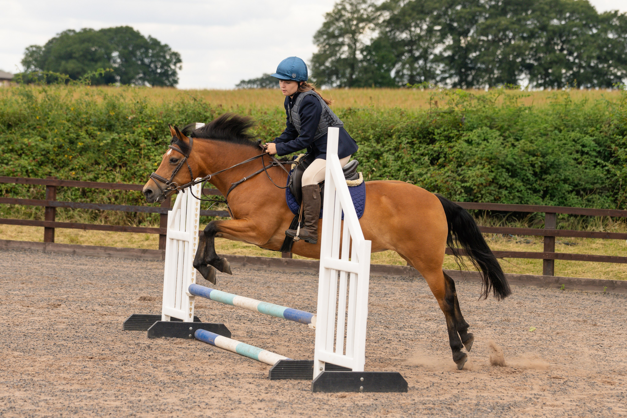 Show Jumping Photography in Leicestershire | Equine Action Shots by El. Leicestershire Equine Photography by El | Authentic Equine Portraits & Events