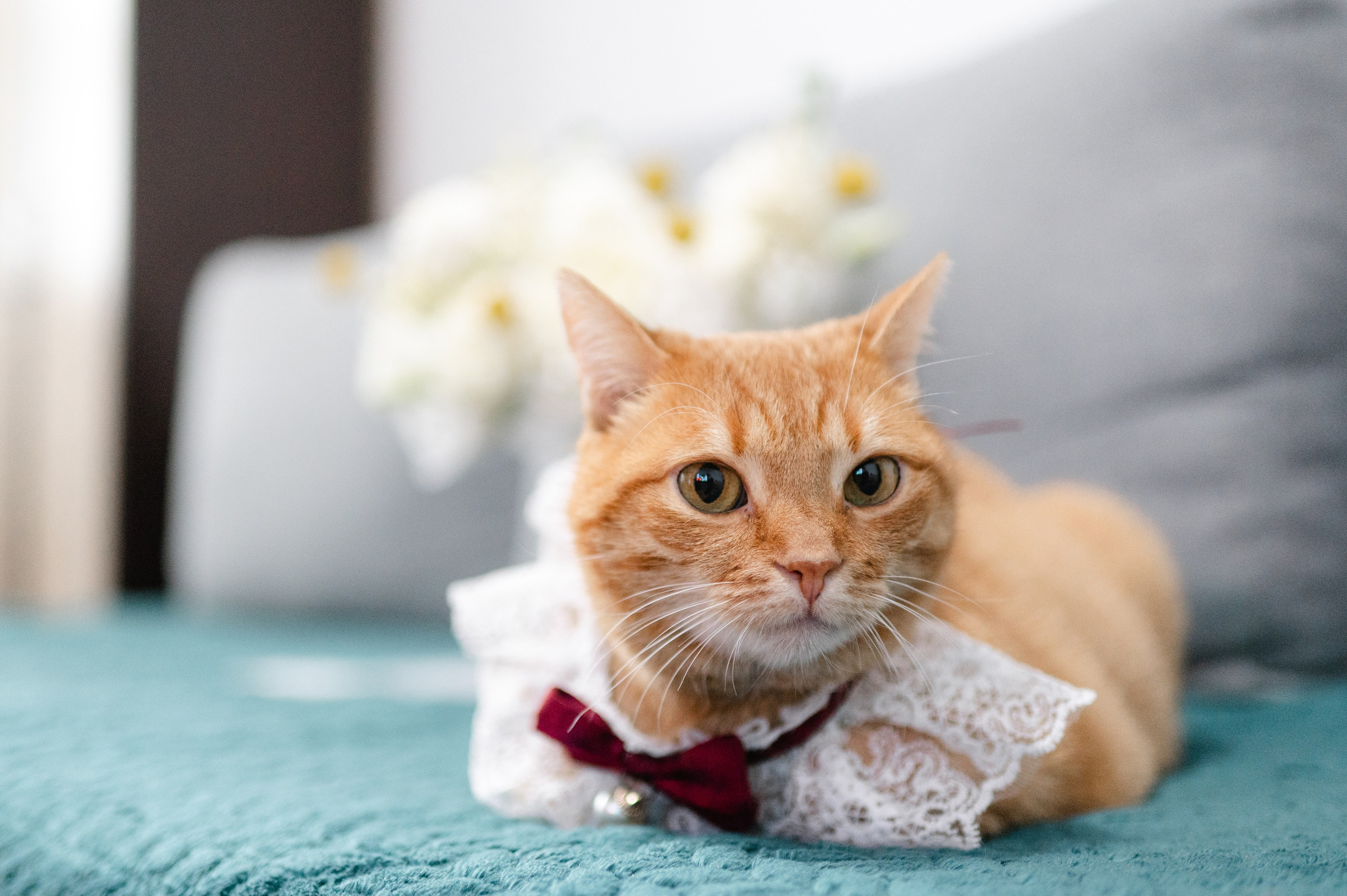 Alexandra + Adrian | Wedding. Alexandra Hanu Photographer