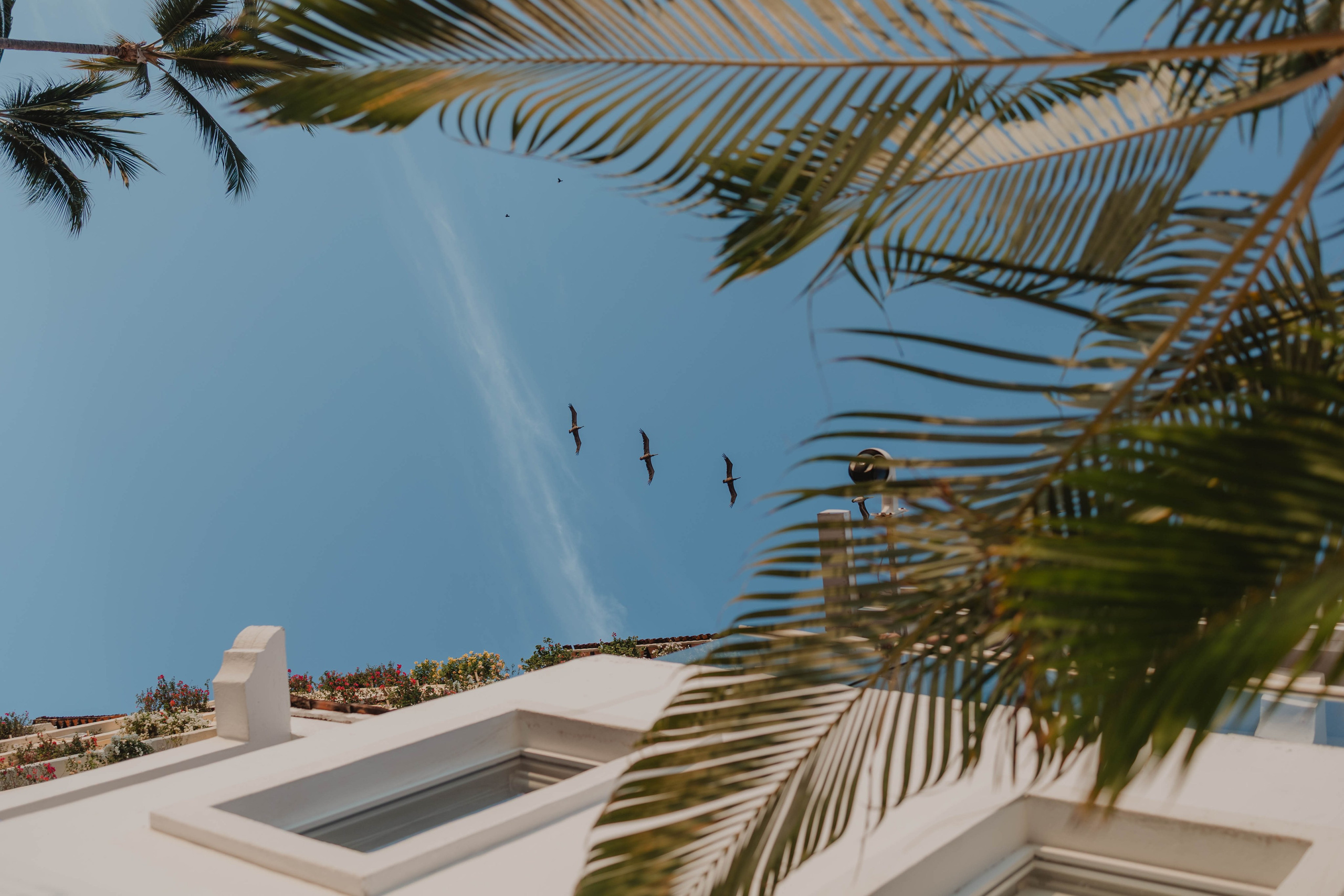 Casa Karma Wedding Photographer Puerto Vallarta 🤍