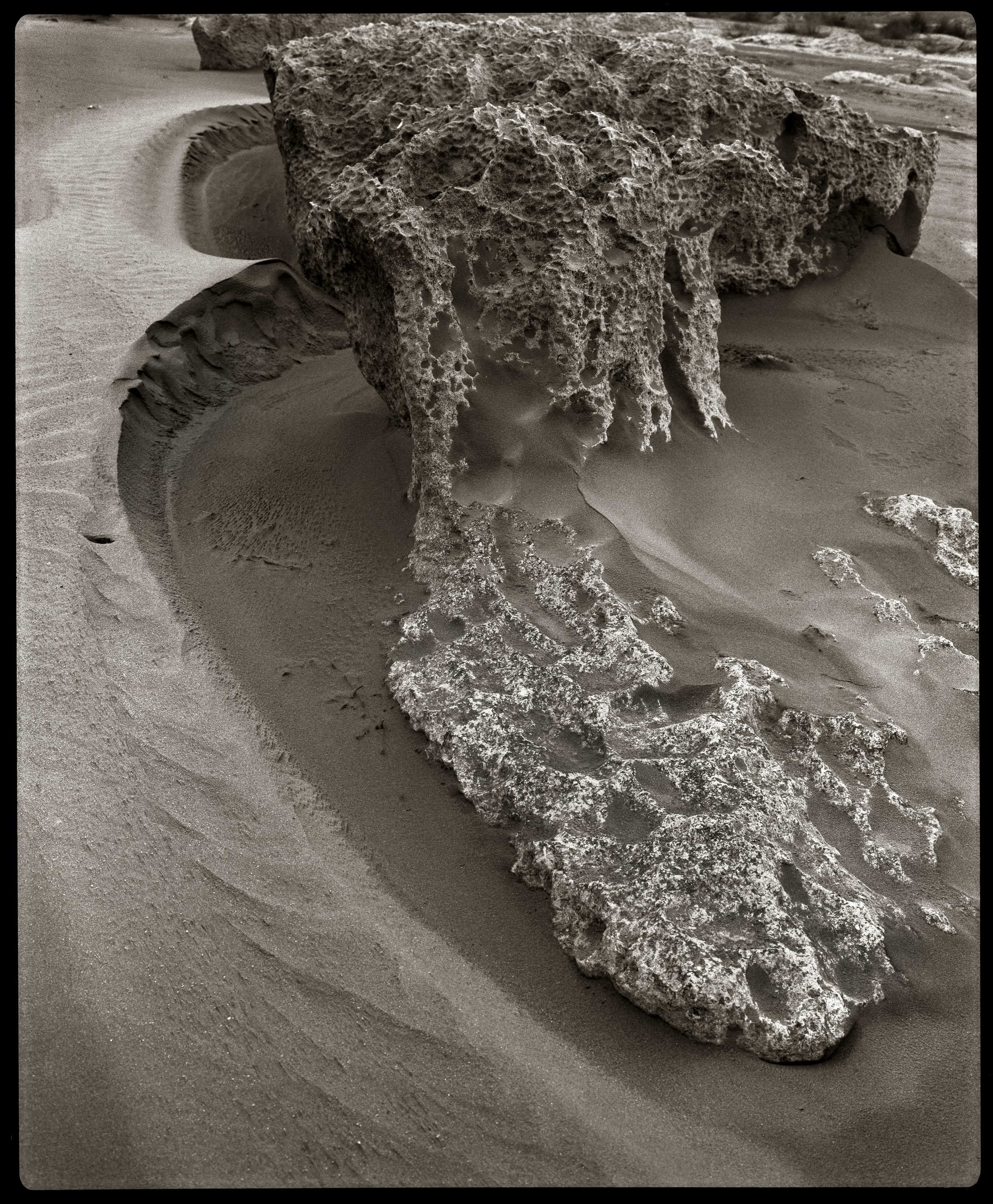 NATURE. Www.sananaleskerov.com