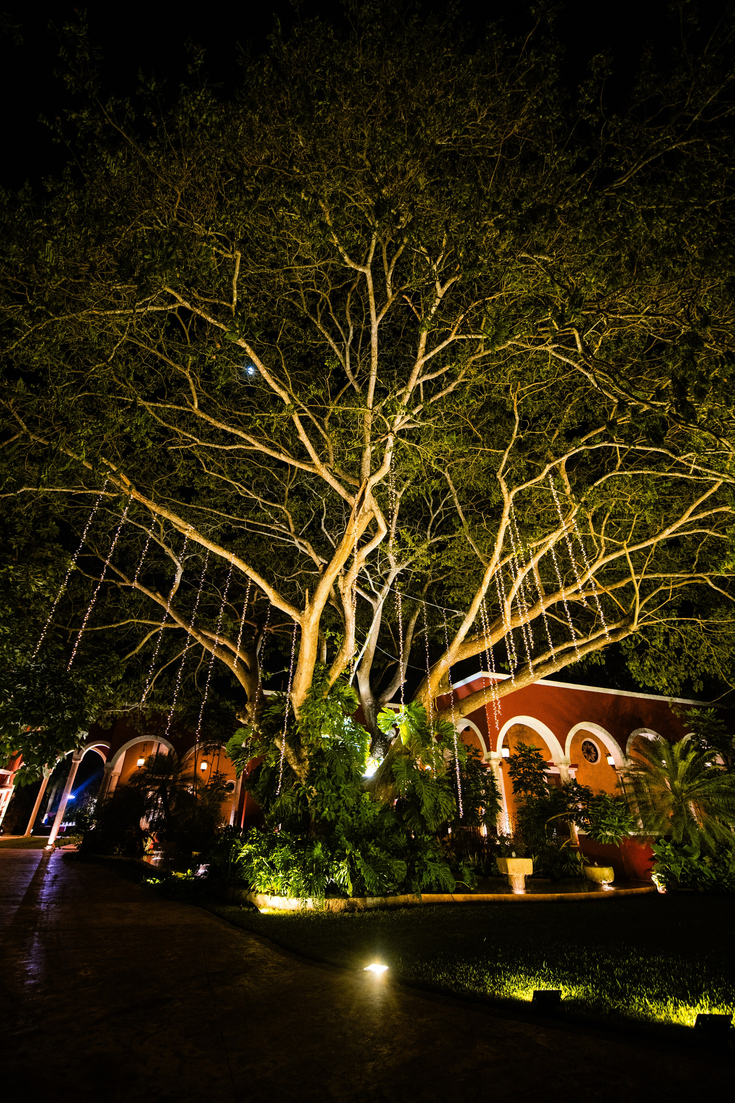 Sofia & Albert. Antonio Soberano Photography