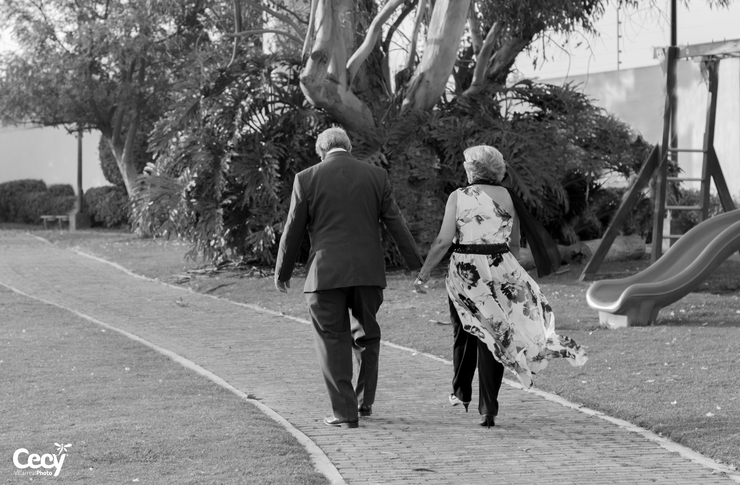 BODAS DE ORO - GUADALUPE Y FRANCISCO