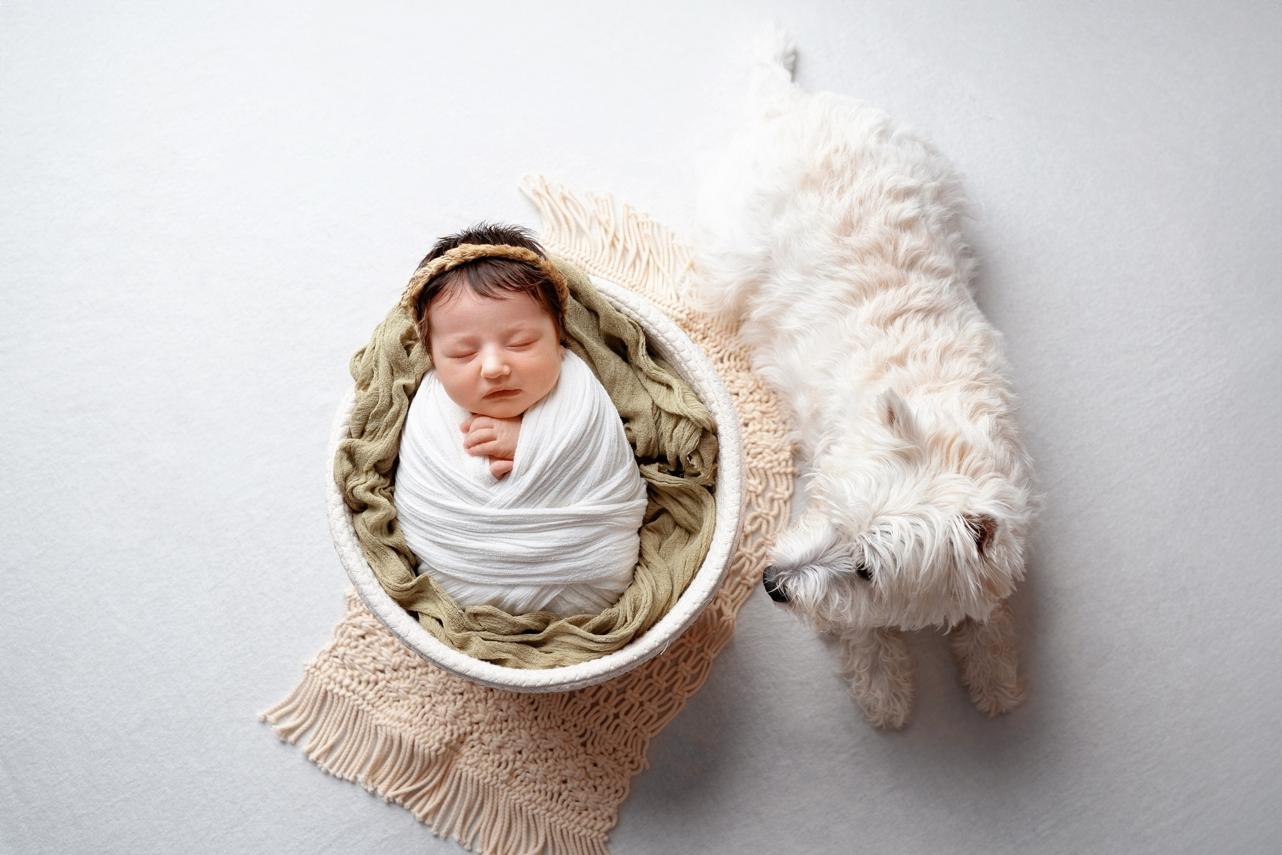 Оливия. Фотограф новорожденных и детей первого года Евгения Михалькевич