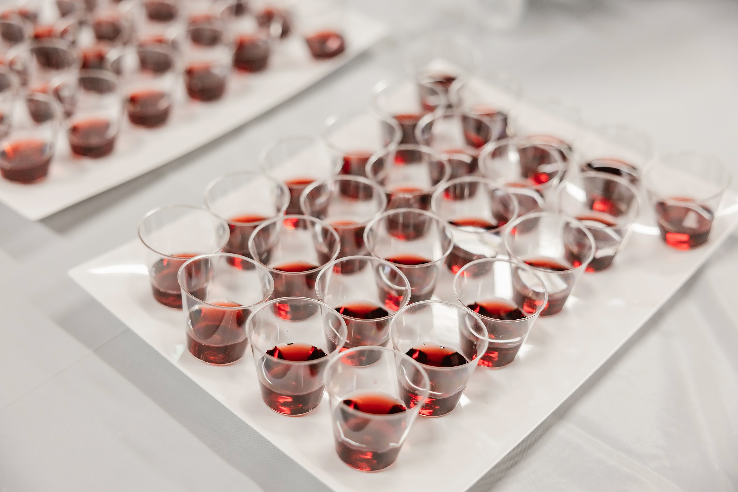 09.01.2025 Bat Mitzvah. Wedding family event photographer in Chicago Nick Yushevich