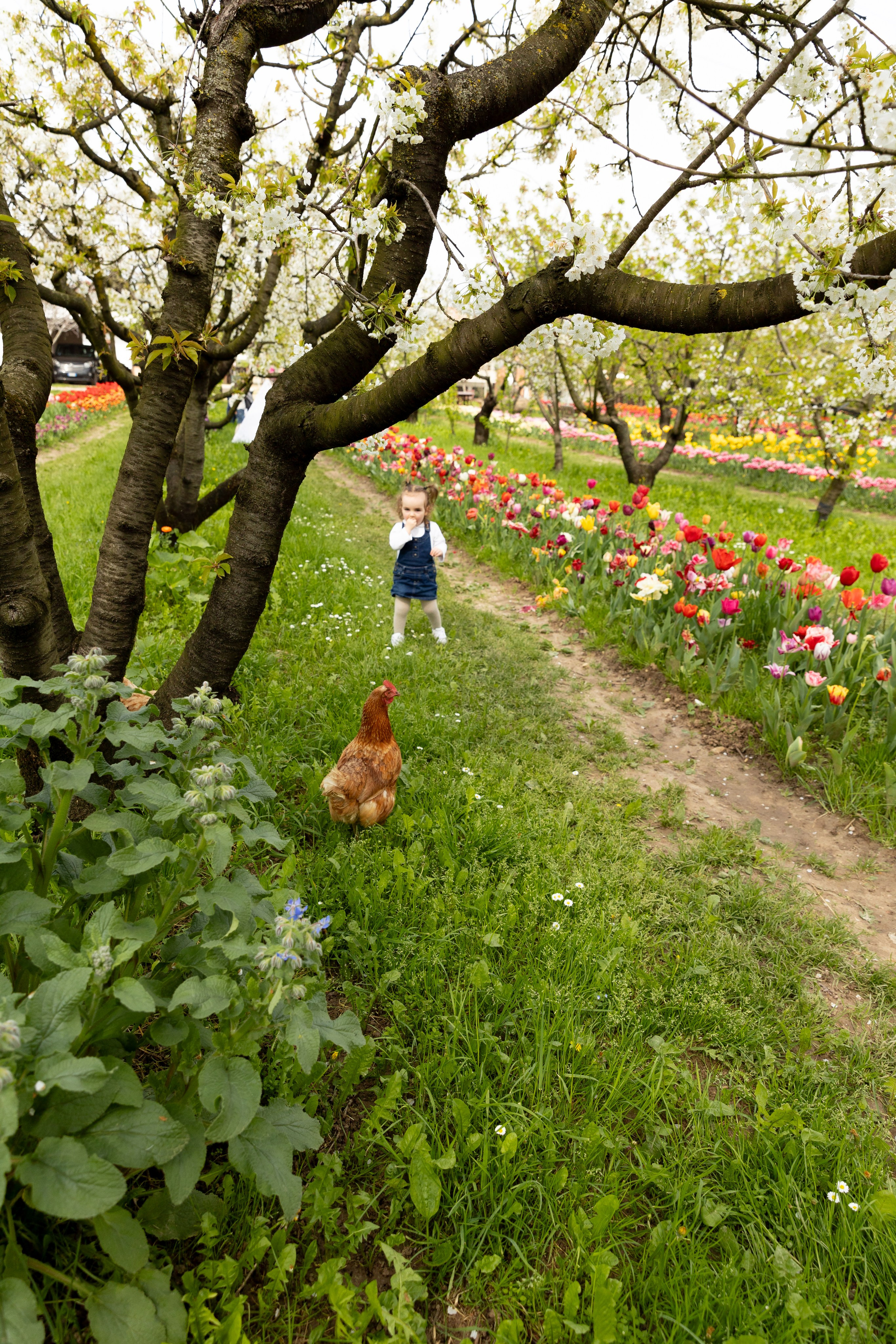 Noemi, Alessia e Sofia. Luci e Capricci Photography