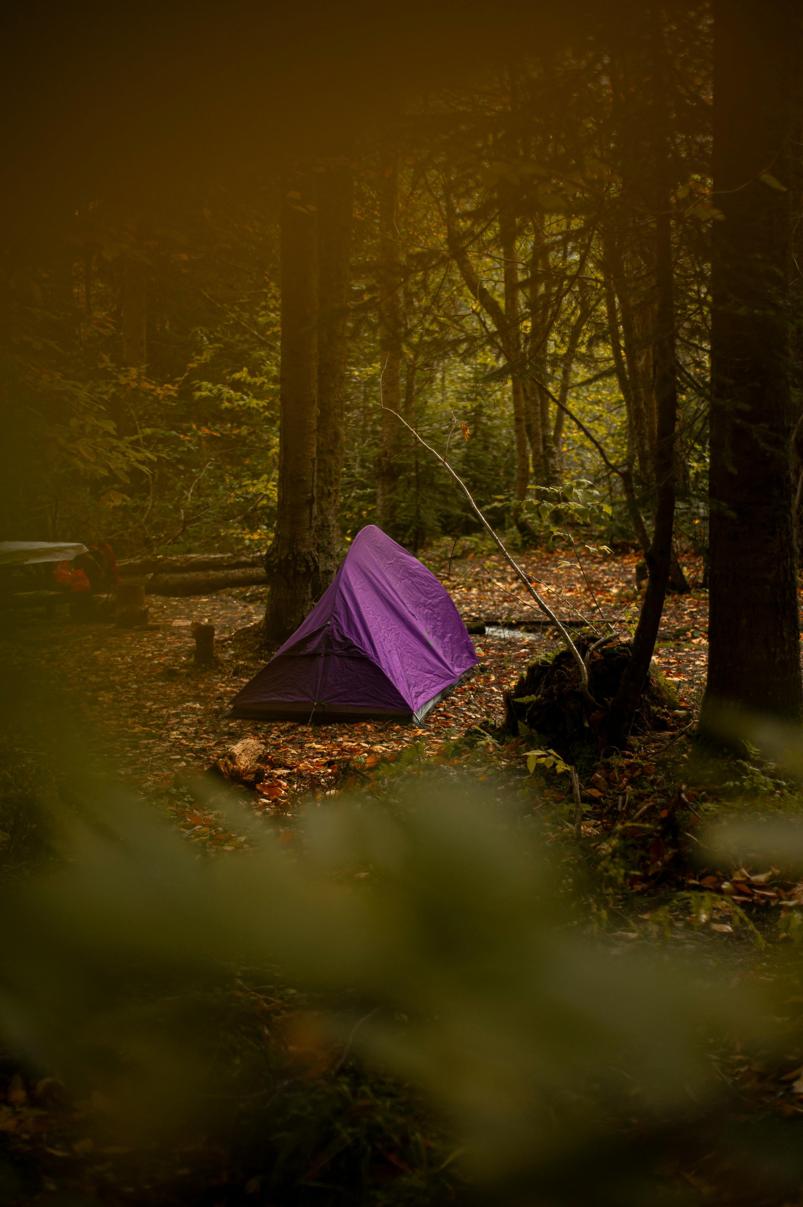 Video Camp ar nakšņošanu. Video shooting and creating with phone, iPhone Video School