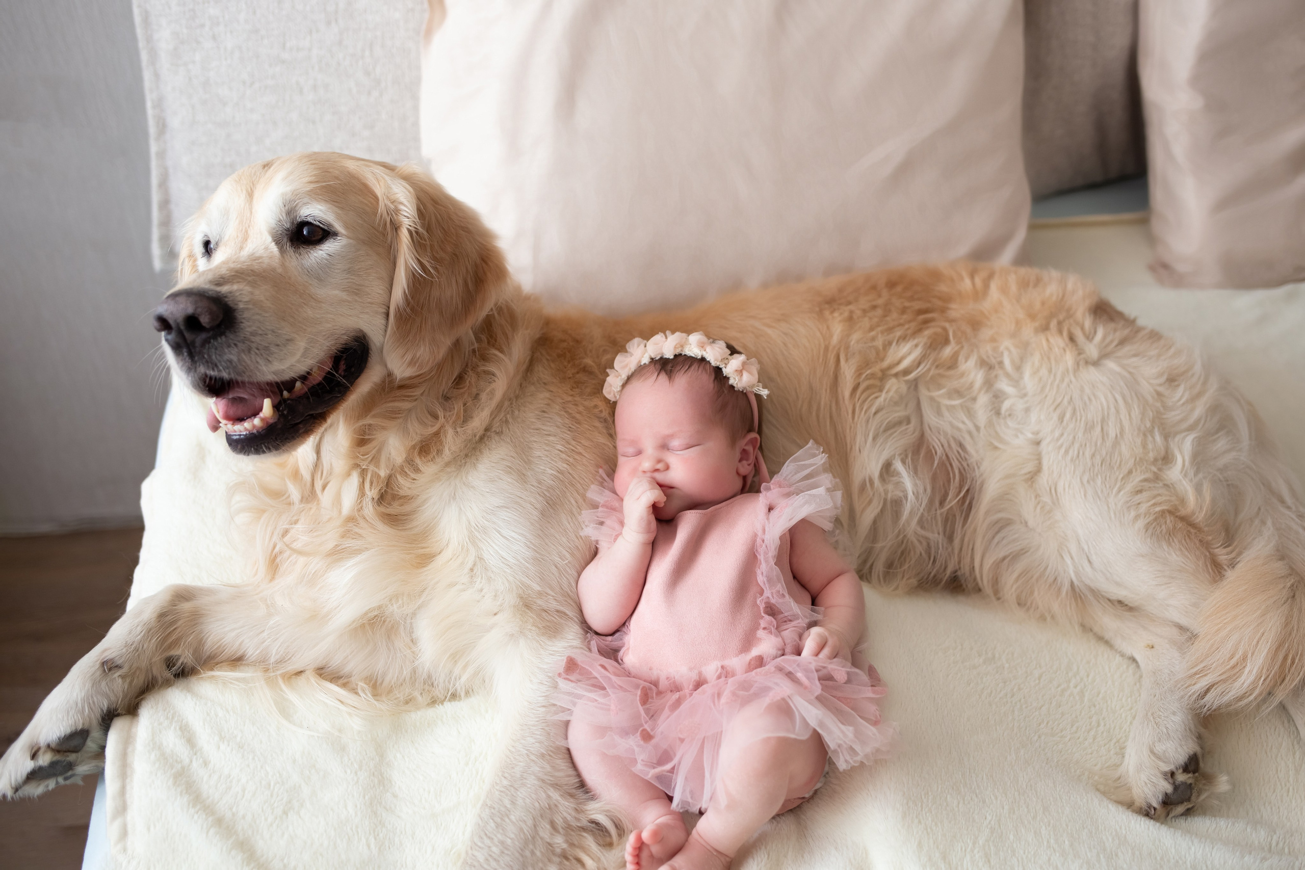 Estilo de vida. Fotógrafa profesional en España