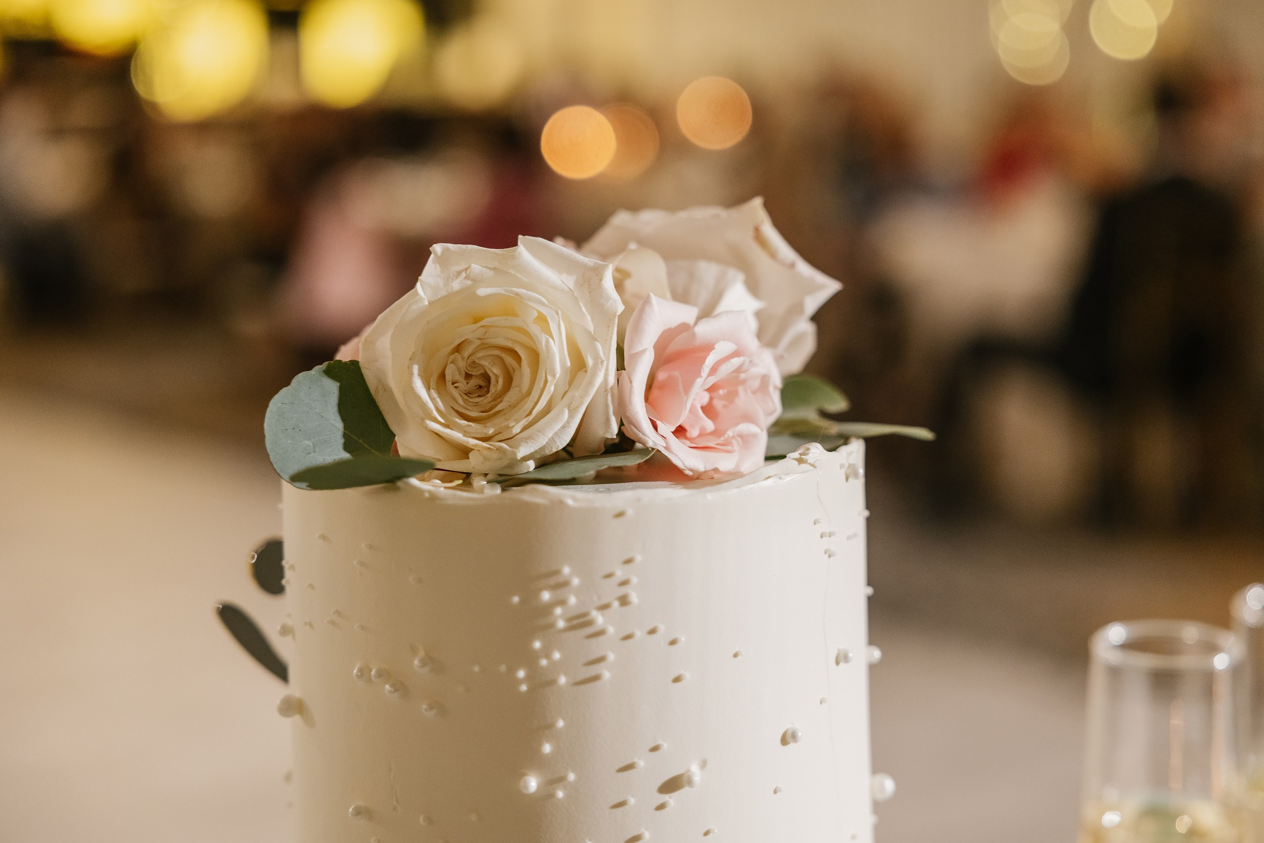 09.06.2025 Wedding. Wedding family event photographer in Chicago Nick Yushevich