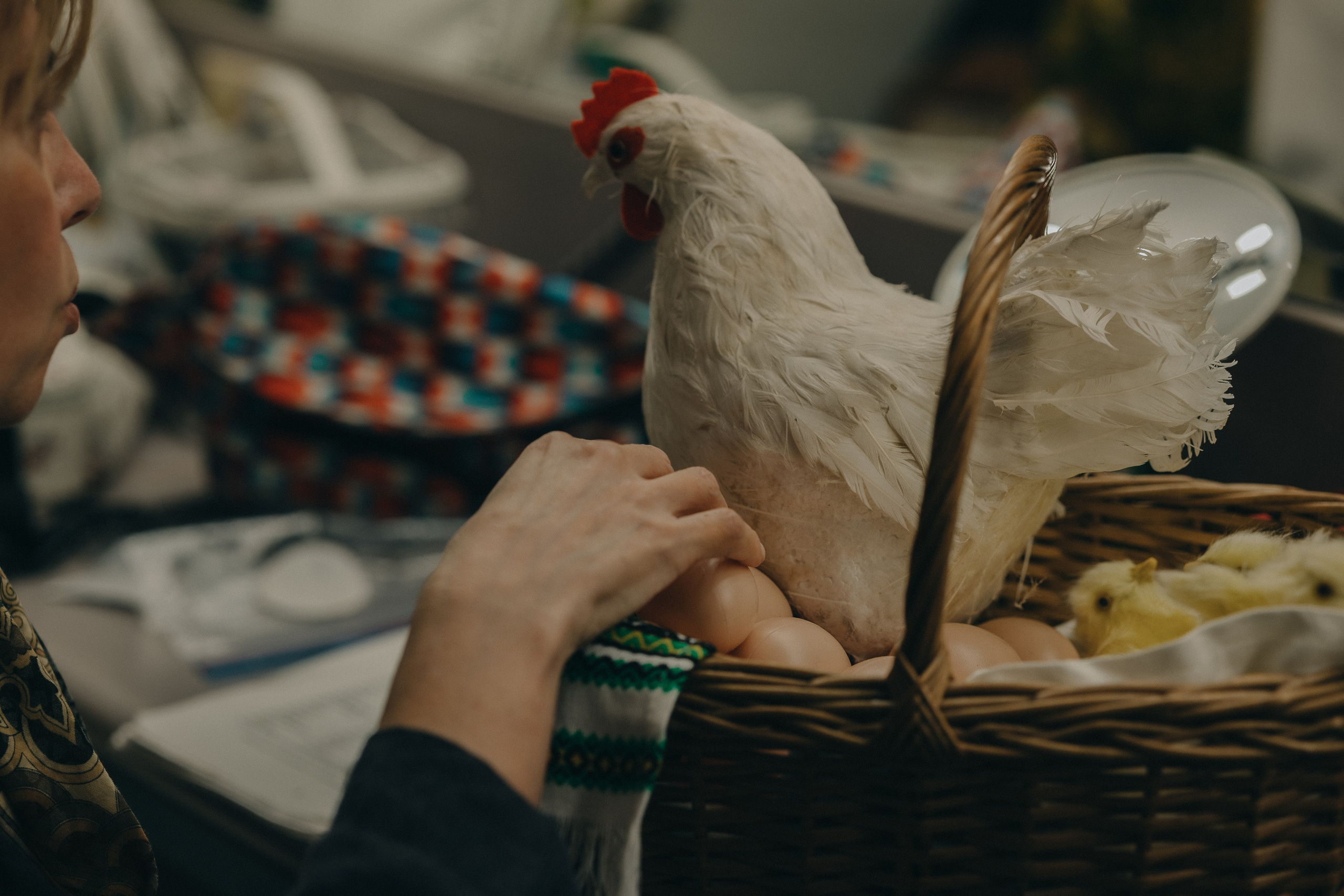 Chameleon — Reportage. Yana Bobrova | Artistic Photography