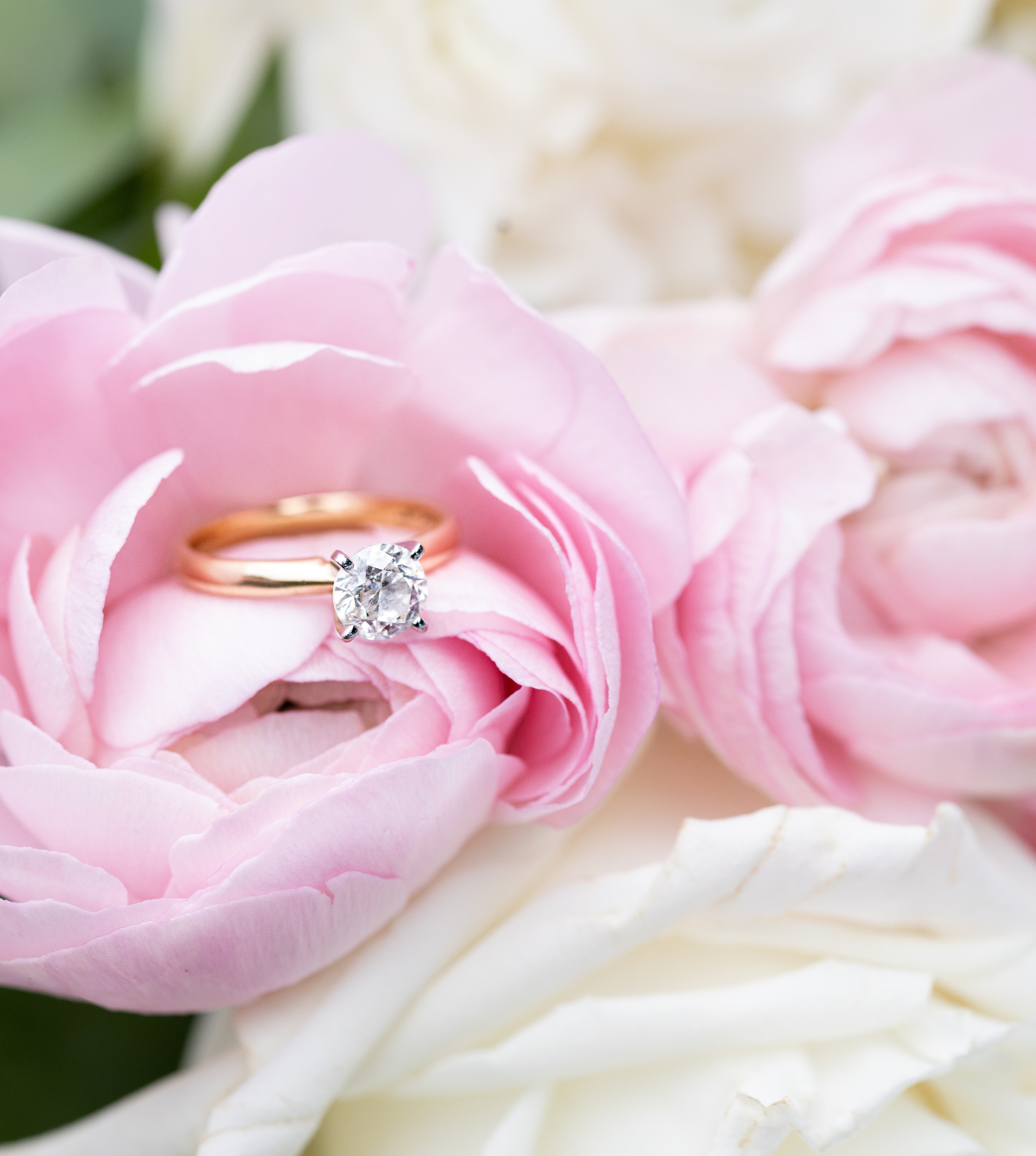 Max and Julia. Family and Wedding photographer