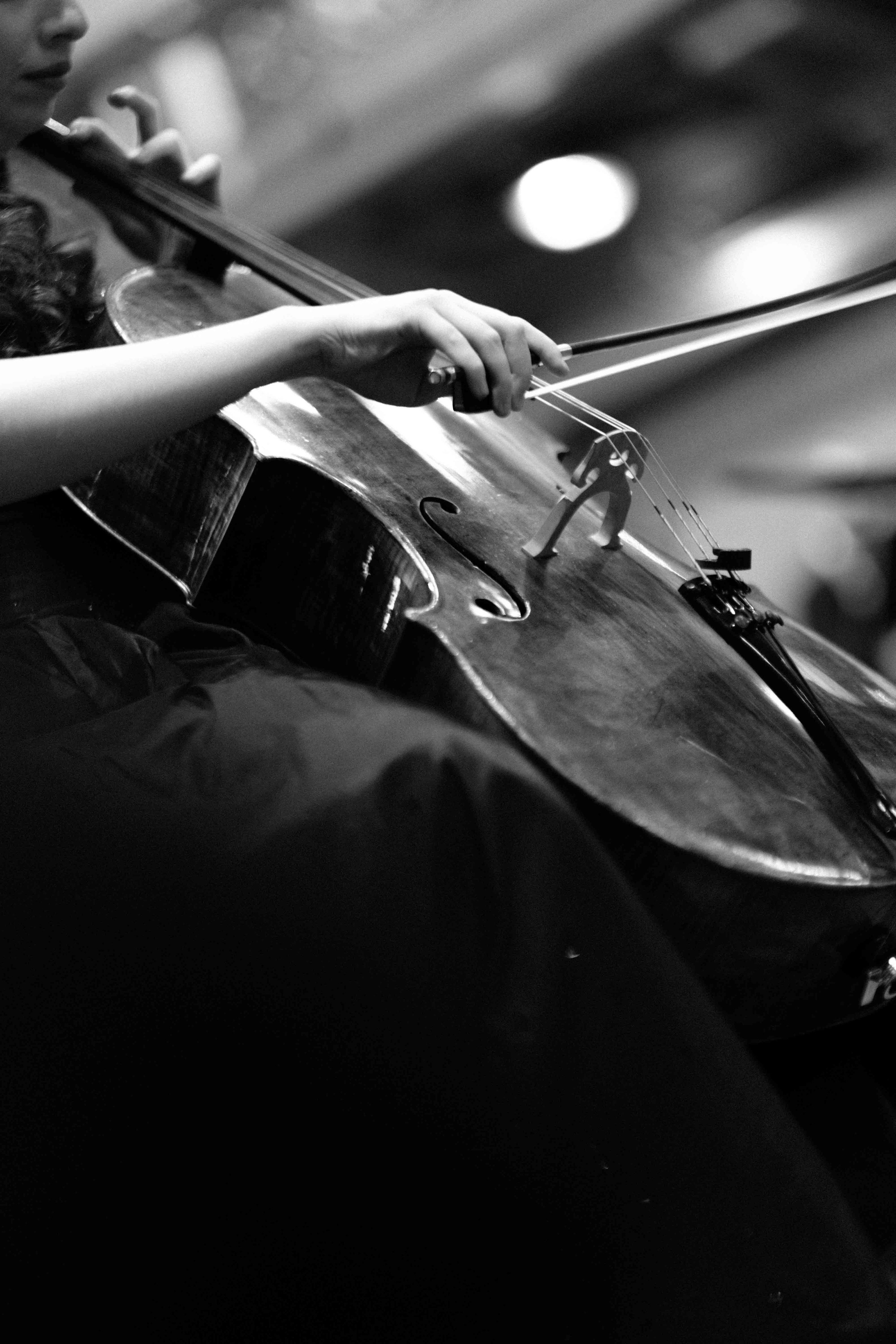 MUSIKVEREIN (VIENNA). Wedding&Event photographer Ismail Rzayev in Baku