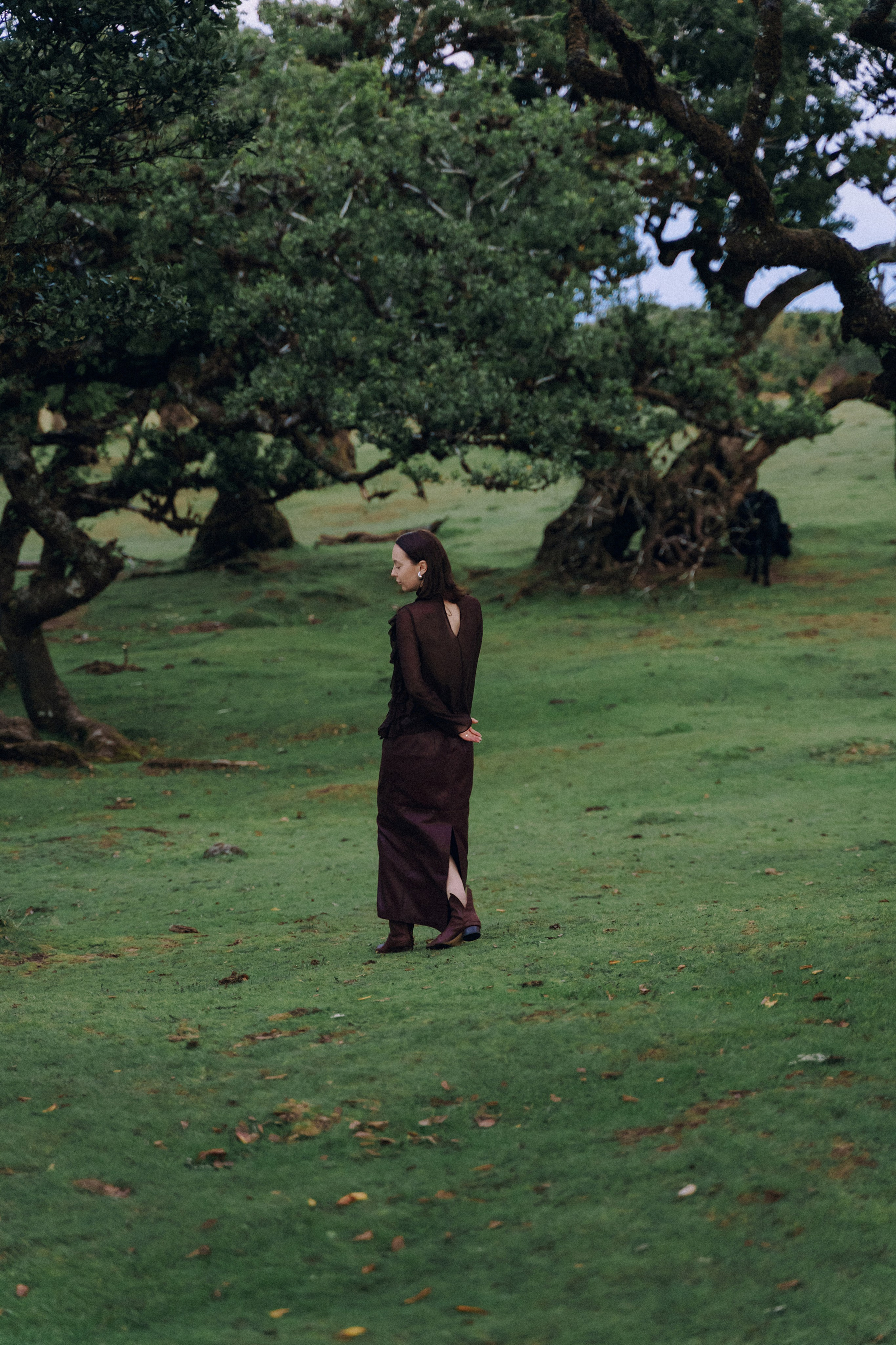 Individual Photoshoot in Fanal Forest — Oksana | Madeira Photography. Your photographer in Madeira