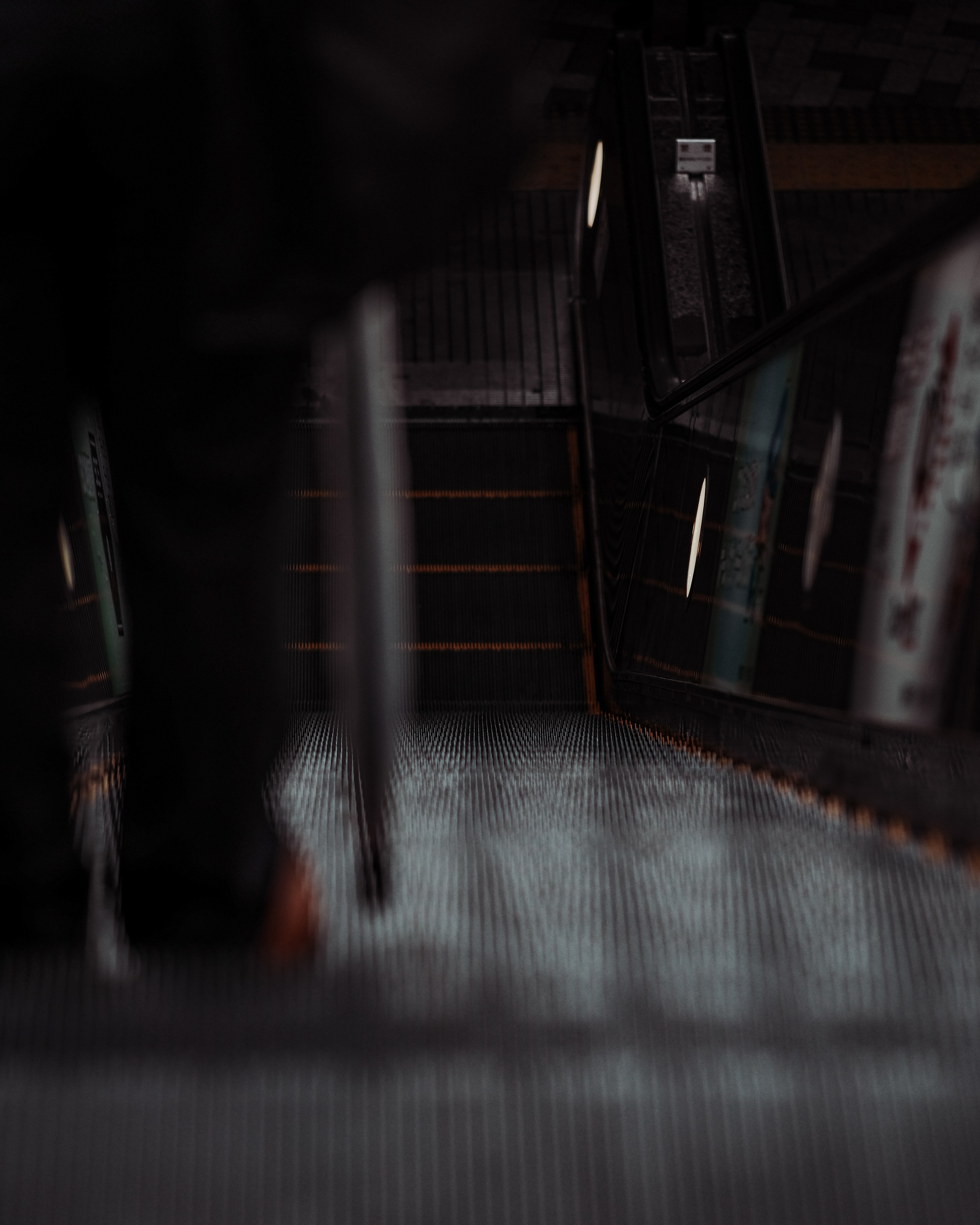 Silhouette stories. Senya JP