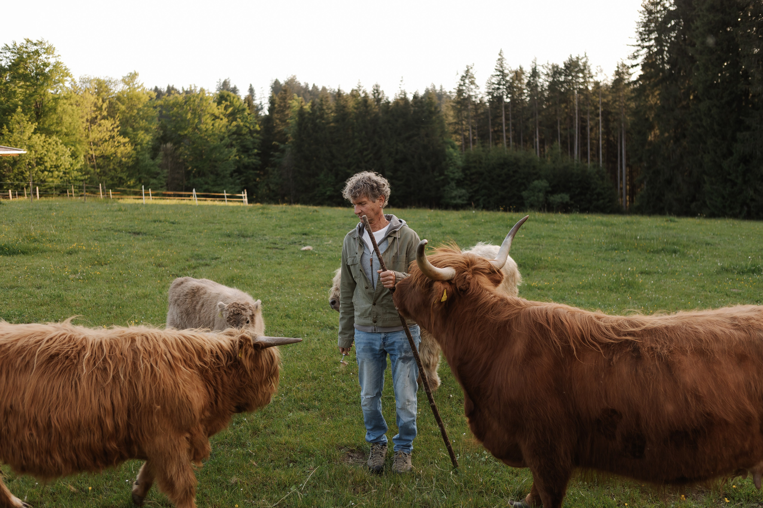 Reportage-Shooting. Fotografin Larysa Chepurko| Füssen| Garmisch-Partenkirchen| Weilheim| Schongau| Murnau| München | Hochzeitsfotograf Füssen | Larysa Photo