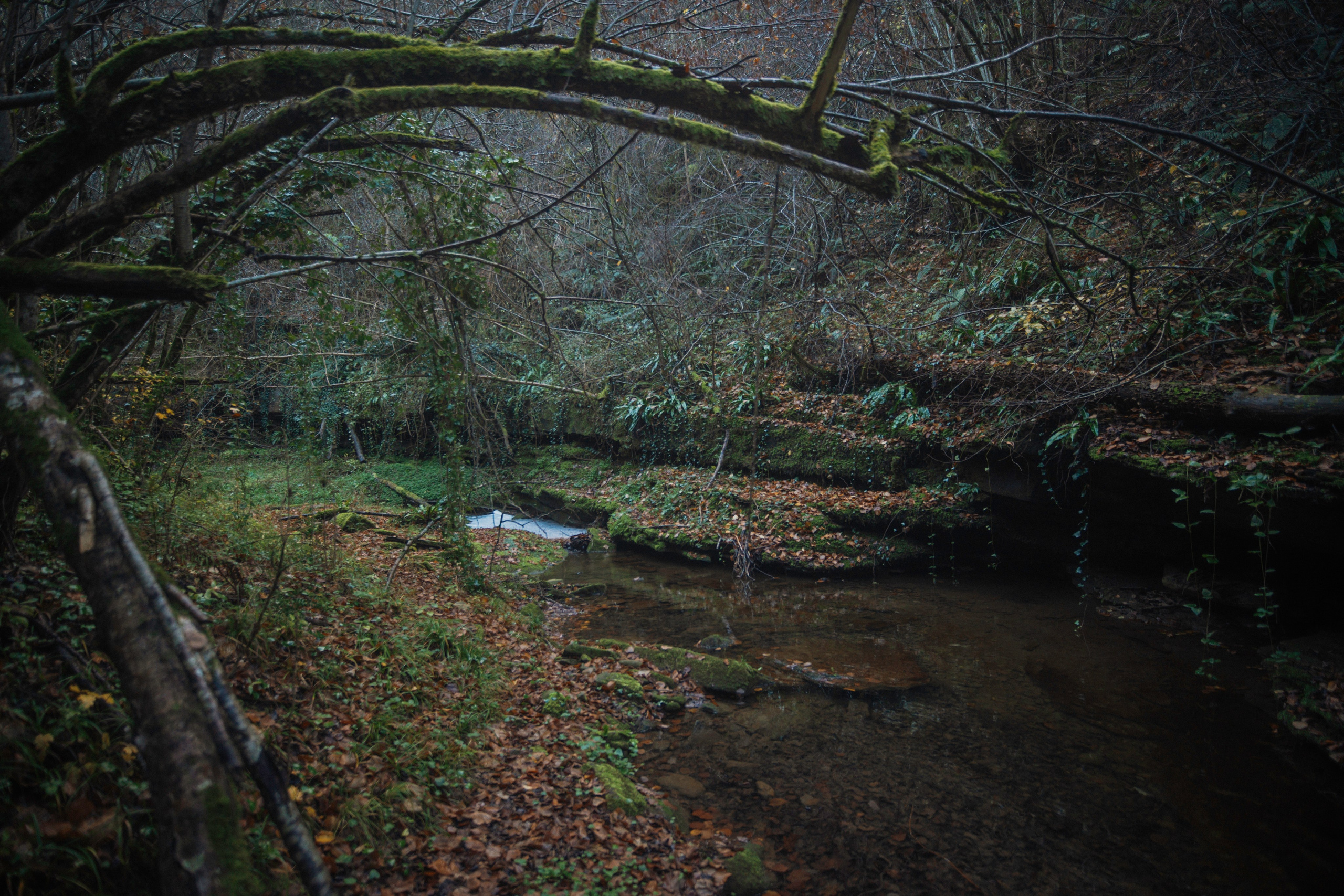Rupit. Alba del Norte Studio