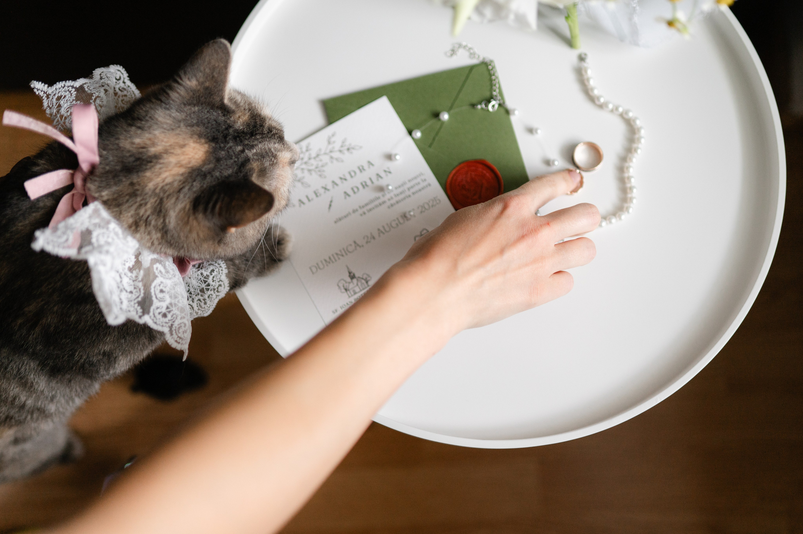 Alexandra + Adrian | Wedding. Alexandra Hanu Photographer