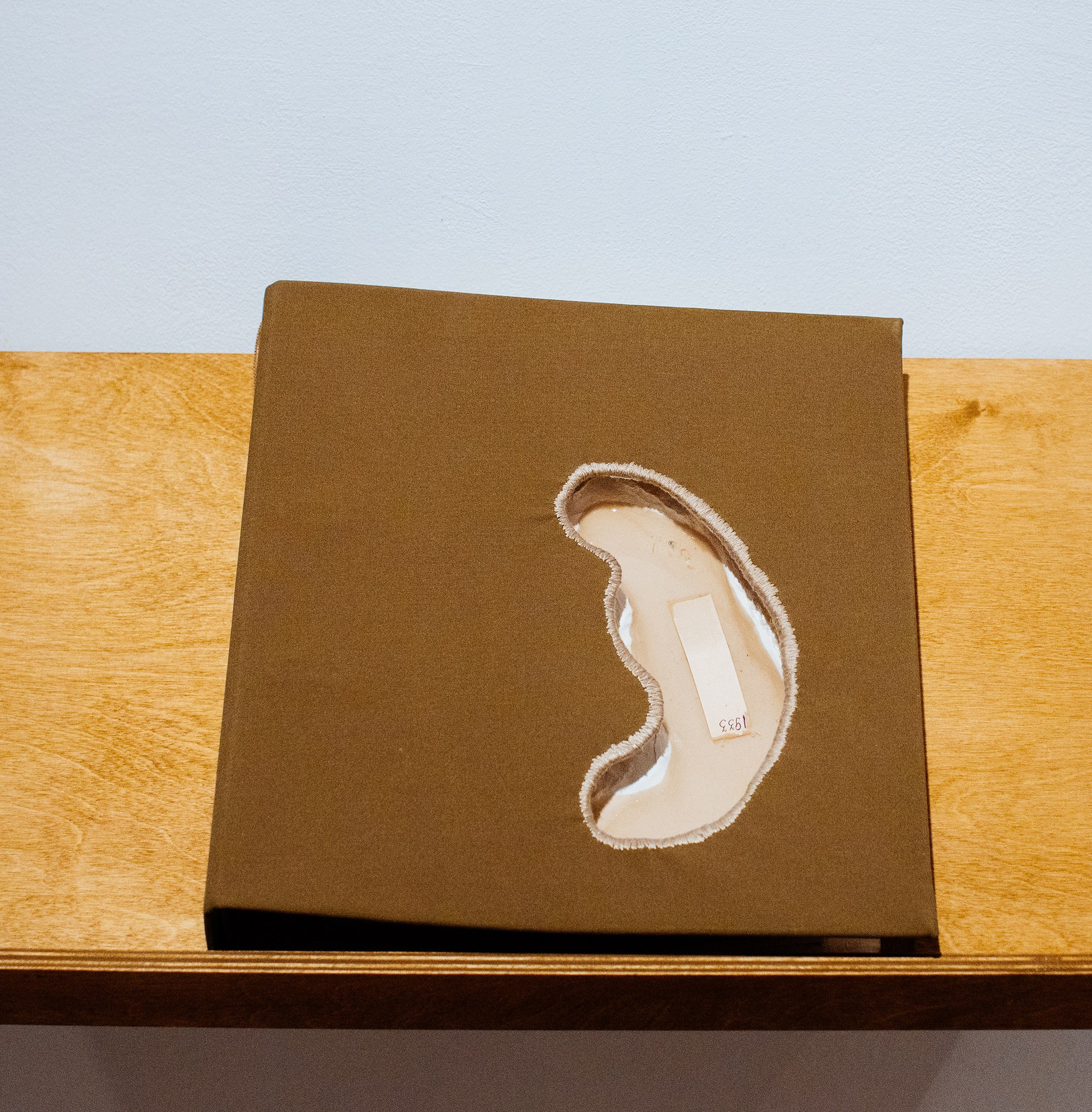 The Worlds i[i] / 2021 — IN-PROGRESS. Daria Goncharova / Conceptual artist